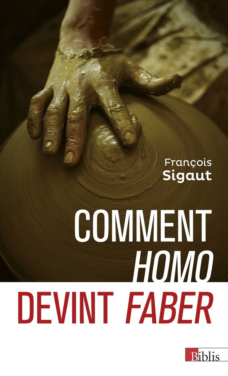 Comment homo devint faber: Comment l'outil fit l'homme Social Sciences