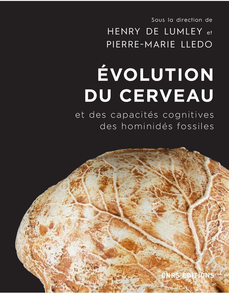 Evolution du cerveau et des capacités cognitives des hominidés fossiles book
