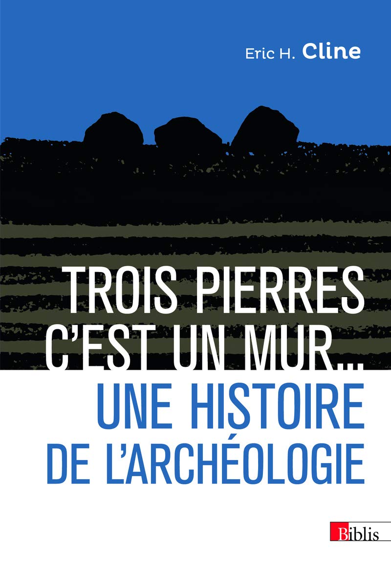 Trois pierres c'est un mur... Une histoire de l'archéologie Social Sciences