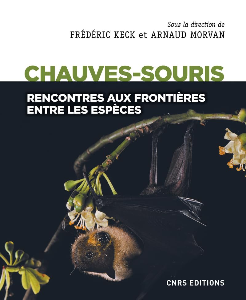Chauves-souris - Rencontres aux frontières entre les espèces book