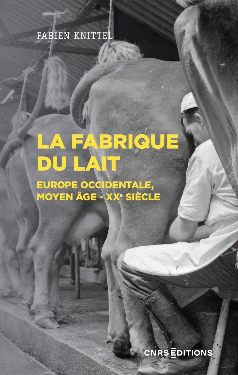 La fabrique du lait - Europe occidentale, Moyen-Age XXe siècle book