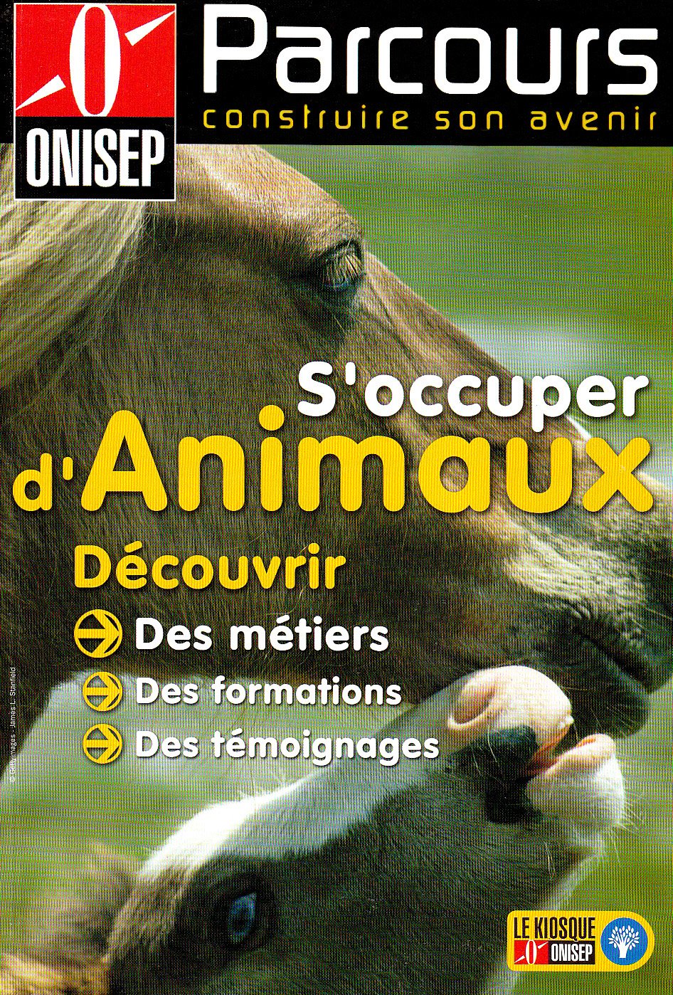 S'occuper d'Animaux: Découvrir des métiers, des formations, des témoignages book