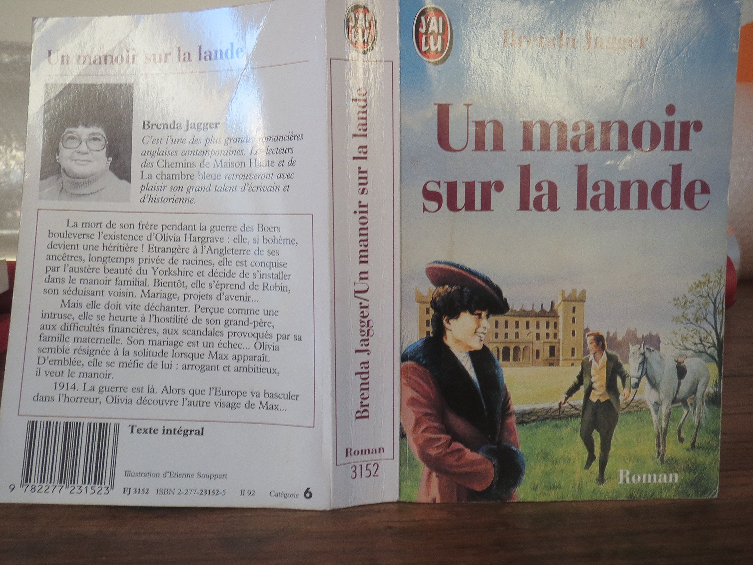 Manoir sur la lande - roman (Un) Books