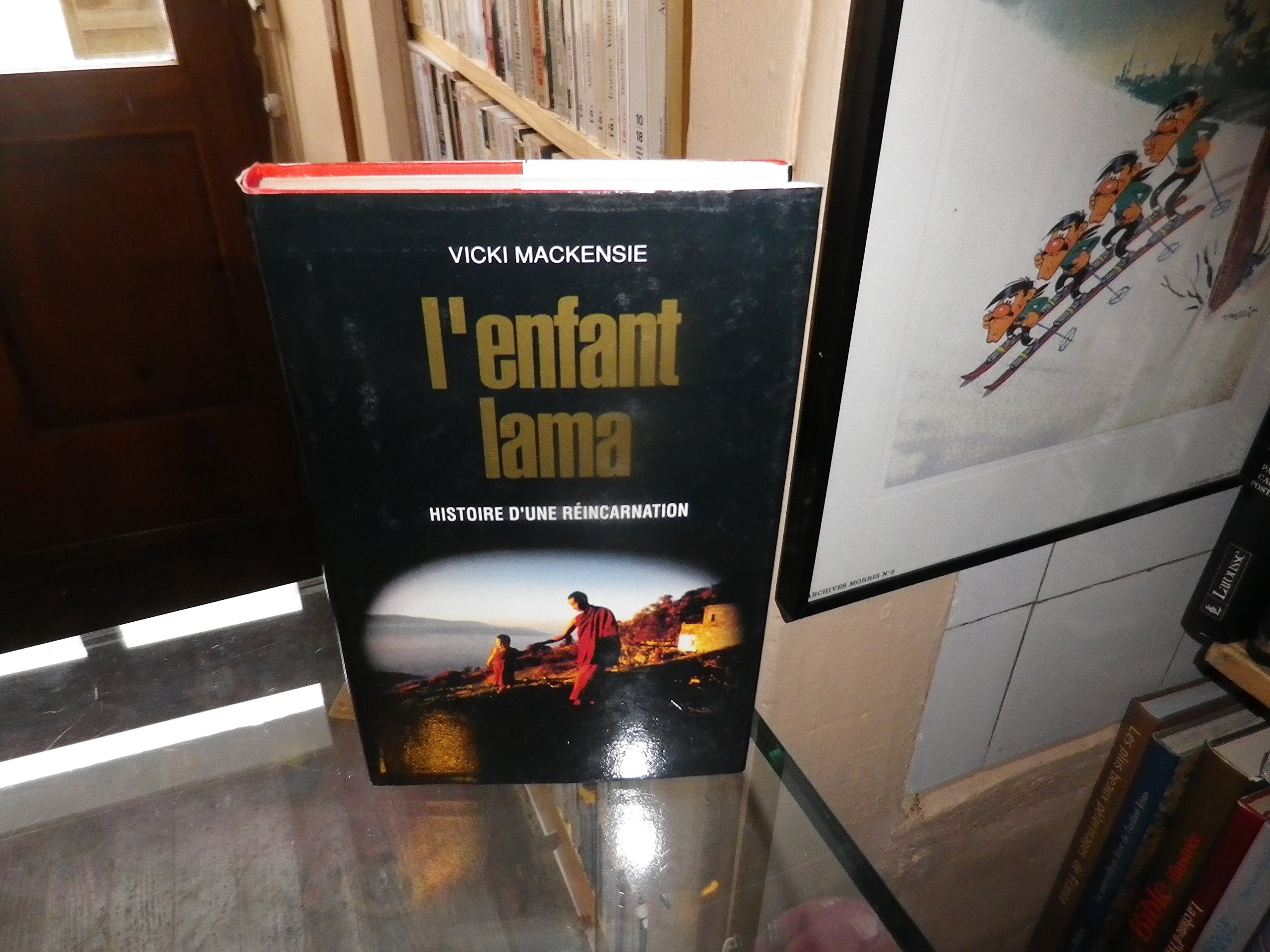 L'Enfant lama : histoire d'une réincarnation book