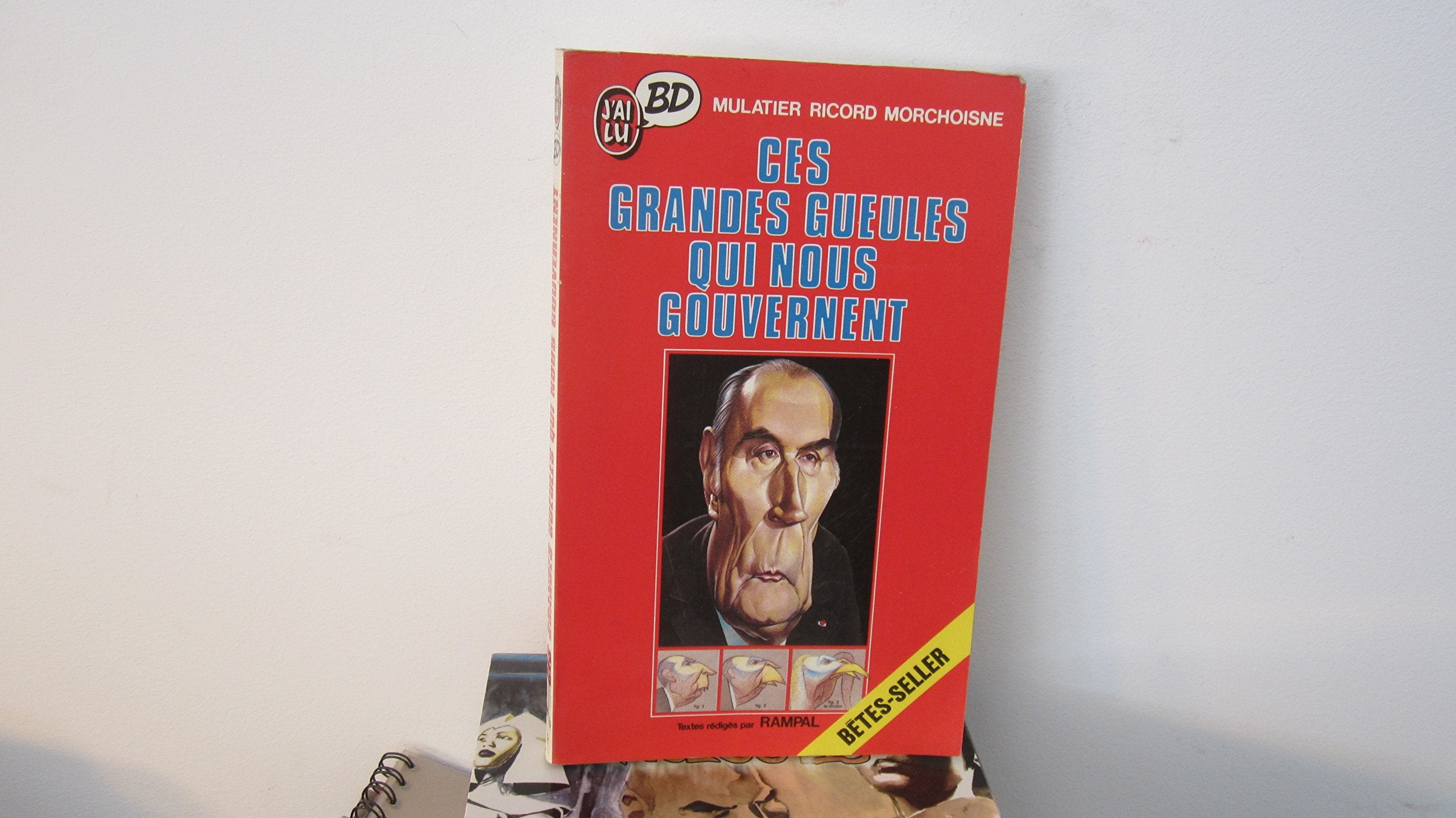 Ces grandes gueules qui nous gouvernent book