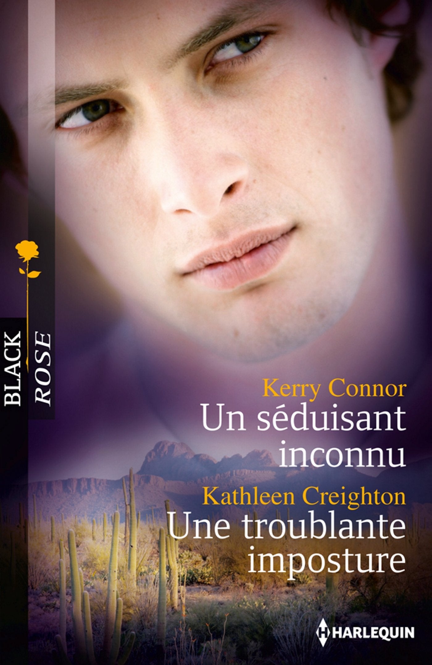 Un séduisant inconnu ; Une troublante imposture book