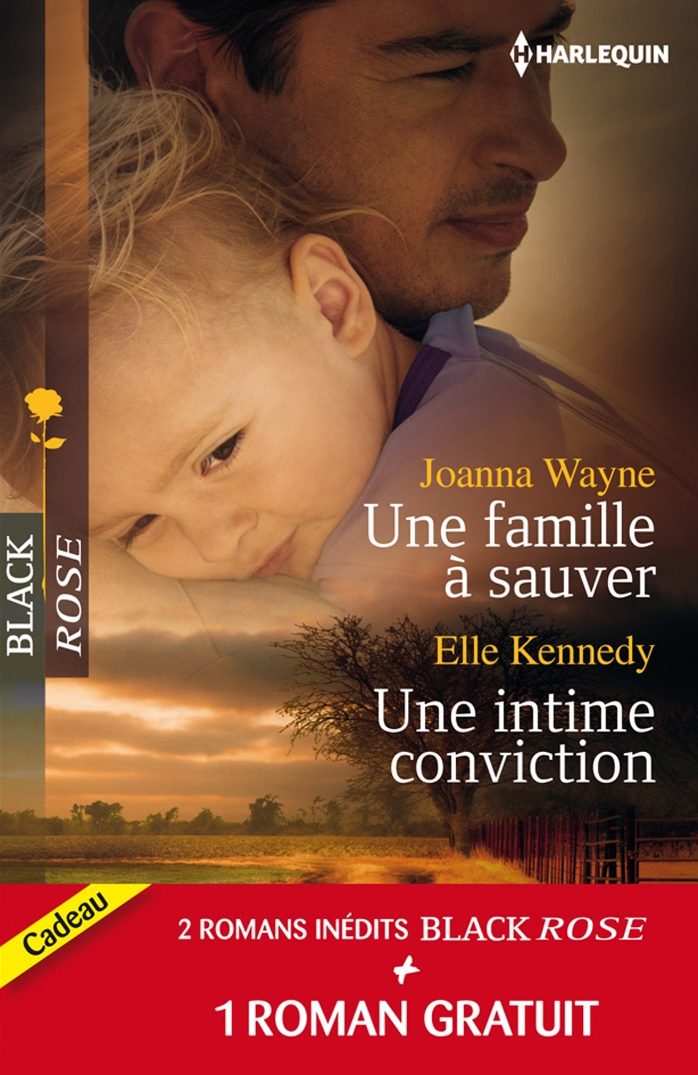 Une famille à sauver ; Une intime conviction ; Frissons en Louisianne Eroticism