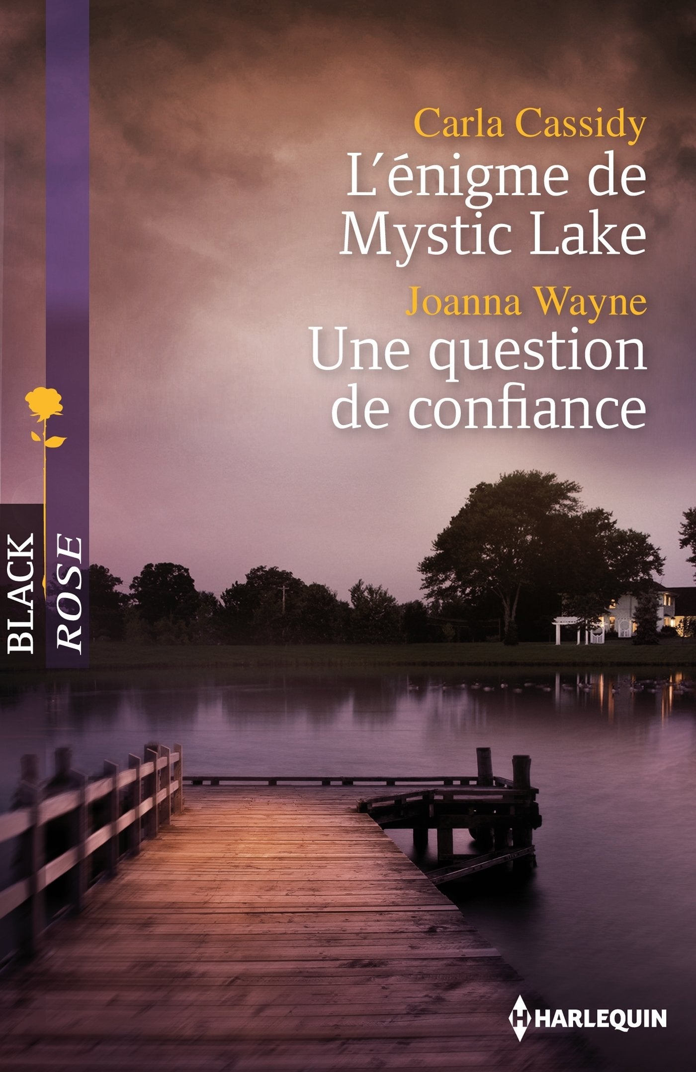 L'énigme de Mystic Lake ; Une question de confiance book