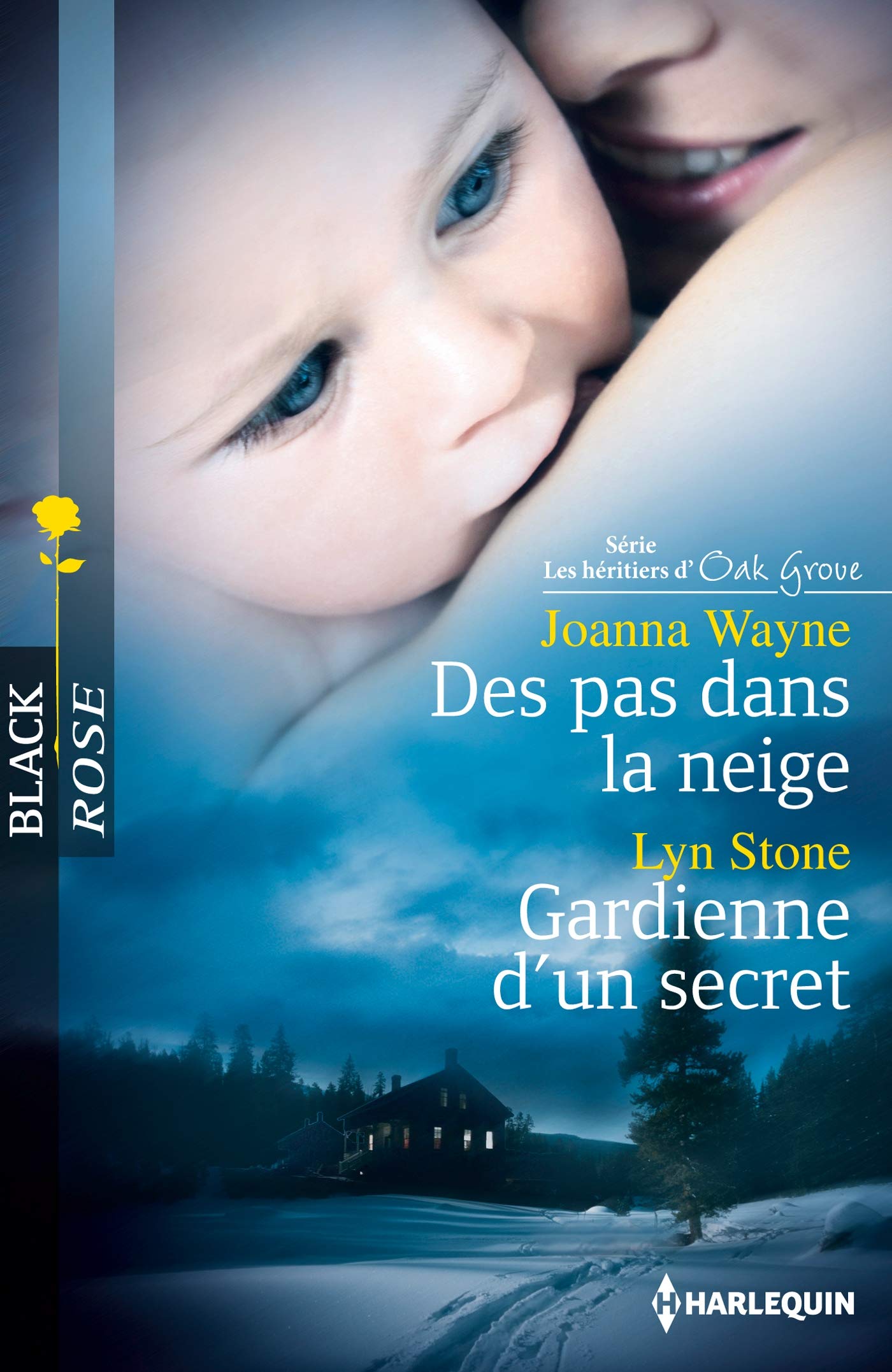 Des pas dans la neige ; Gardienne d'un secret book
