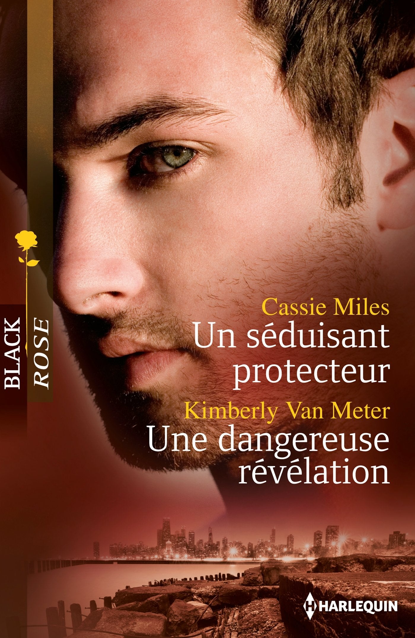 Un séduisant protecteur ; Une dangereuse révélation Eroticism