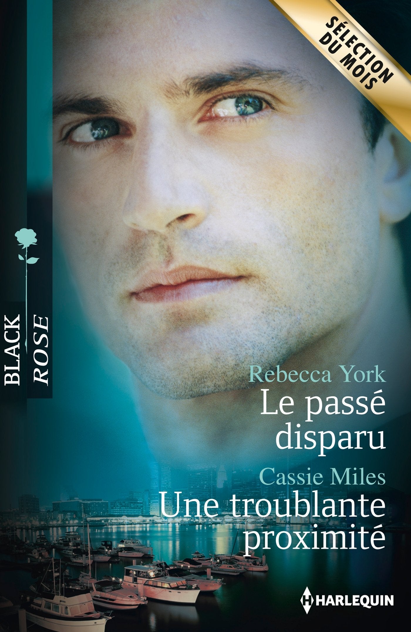 Le passé disparu - Une troublante proximité book