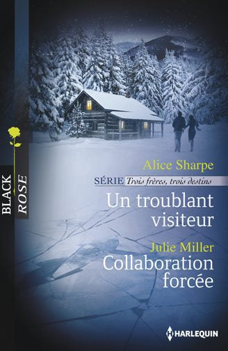 Un troublant visiteur : trois frères, trois destins. Collaboration forcée book