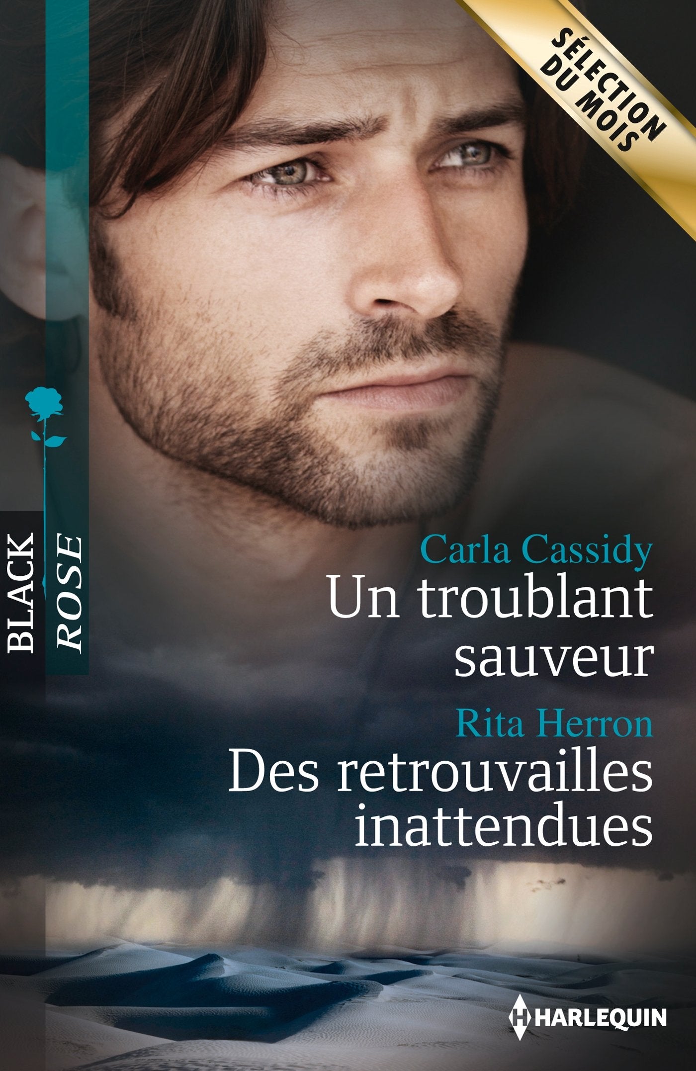 Un troublant sauveur ; Des retrouvailles inattendues Eroticism