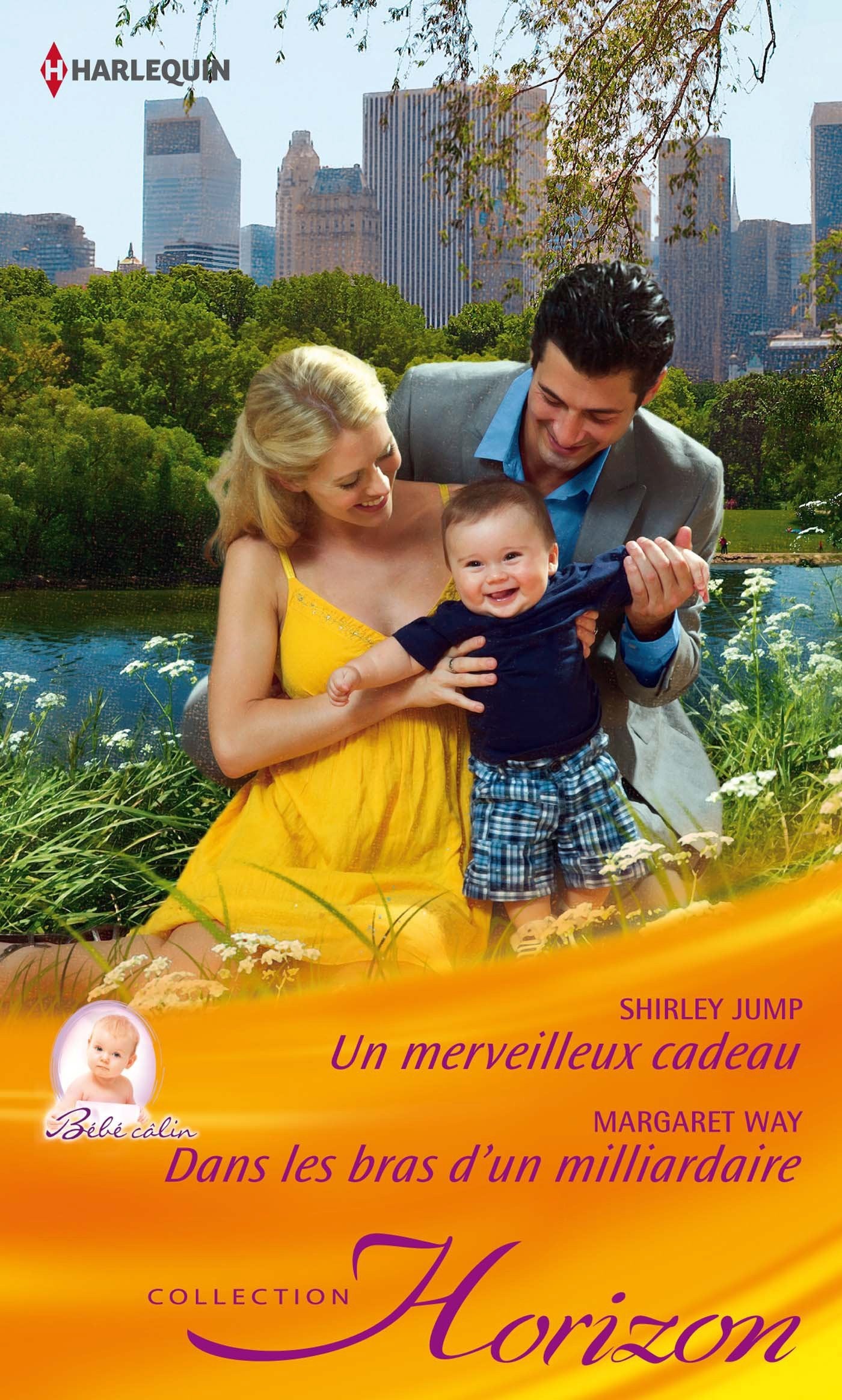 Un merveilleux cadeau ; Dans les bras d'un milliardaire book