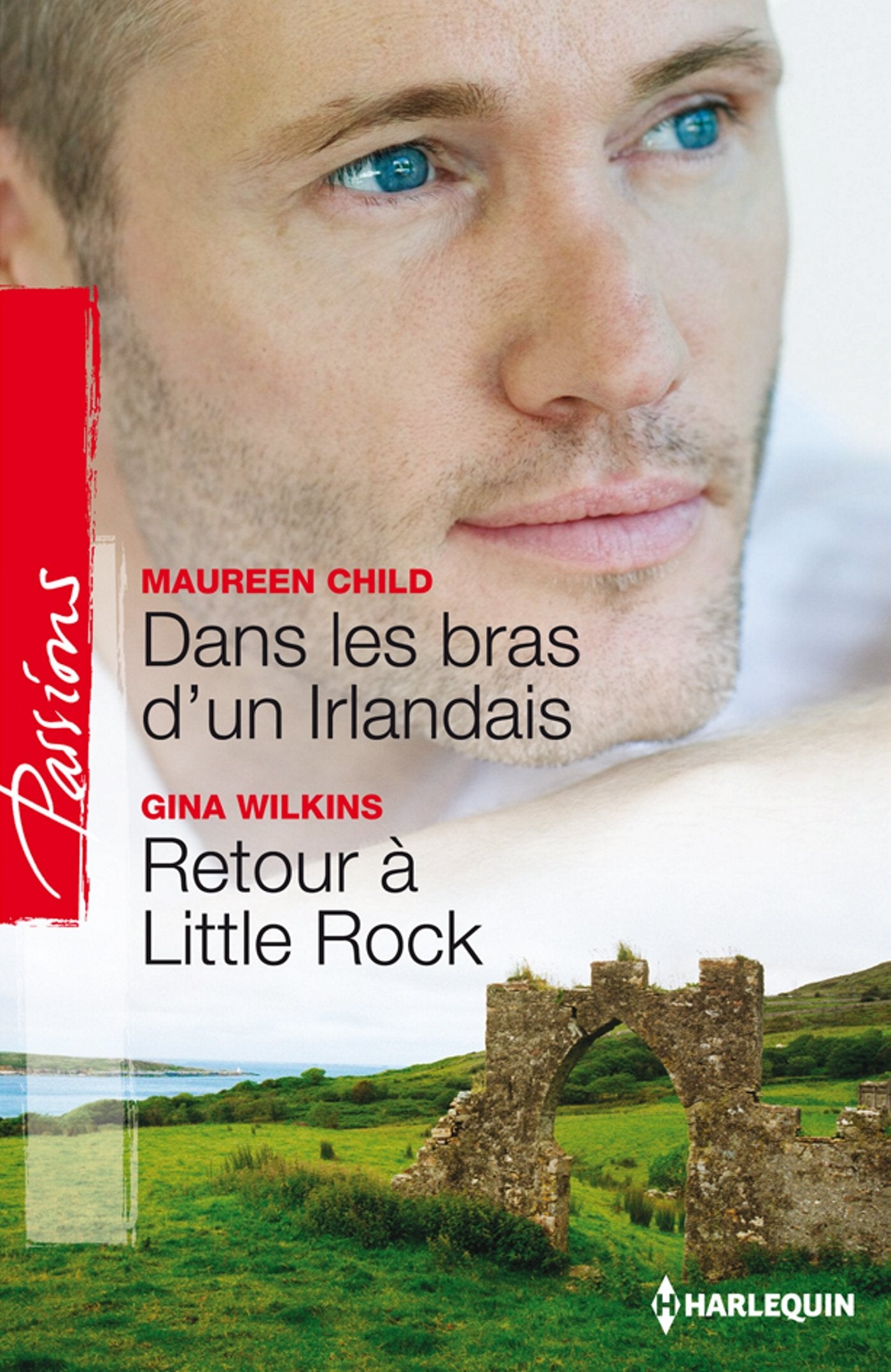 Dans les bras d'un irlandais ; Retour à Little Rock book