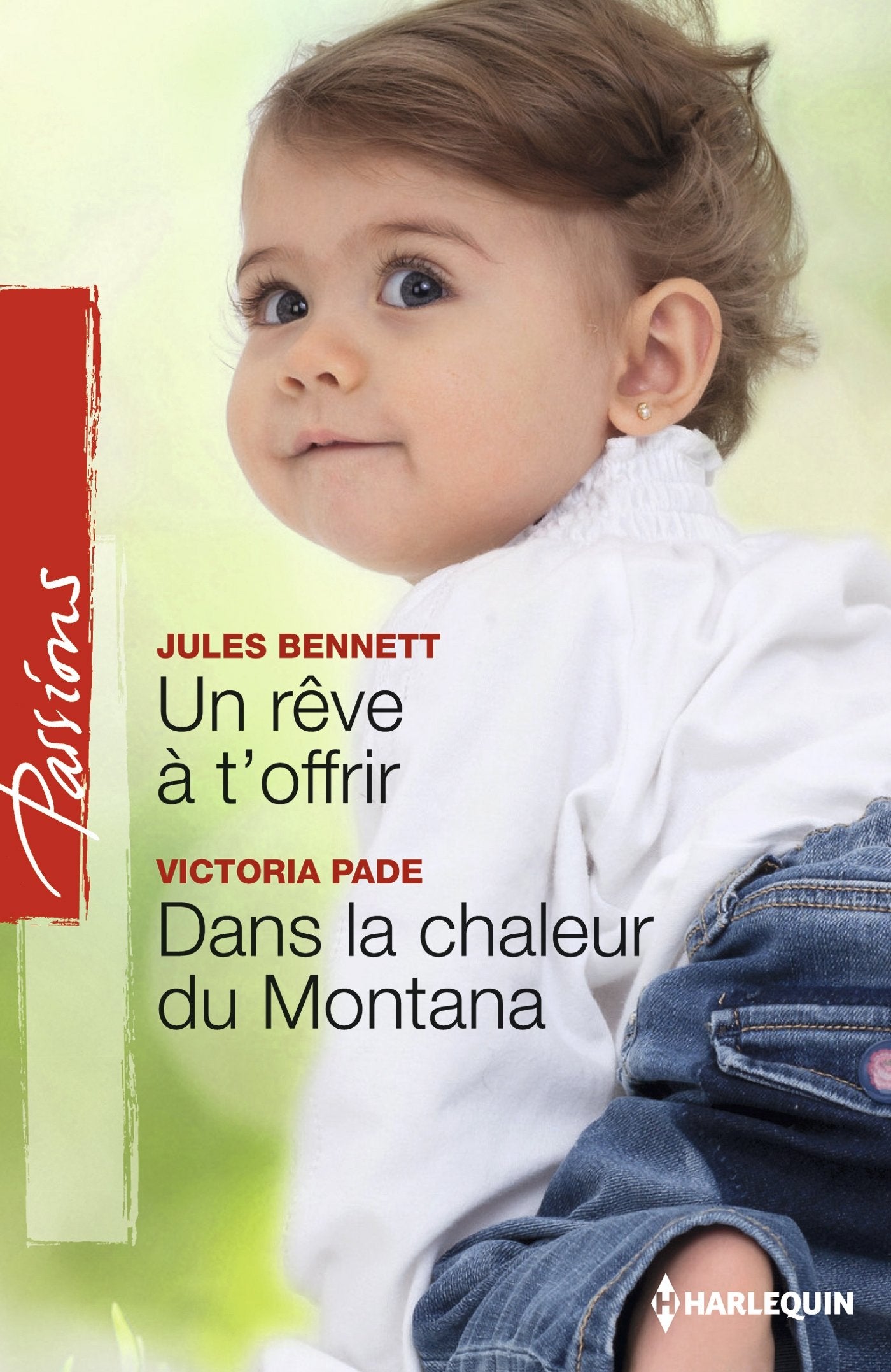 Un rêve à t'offrir ; Dans la chaleur du Montana book