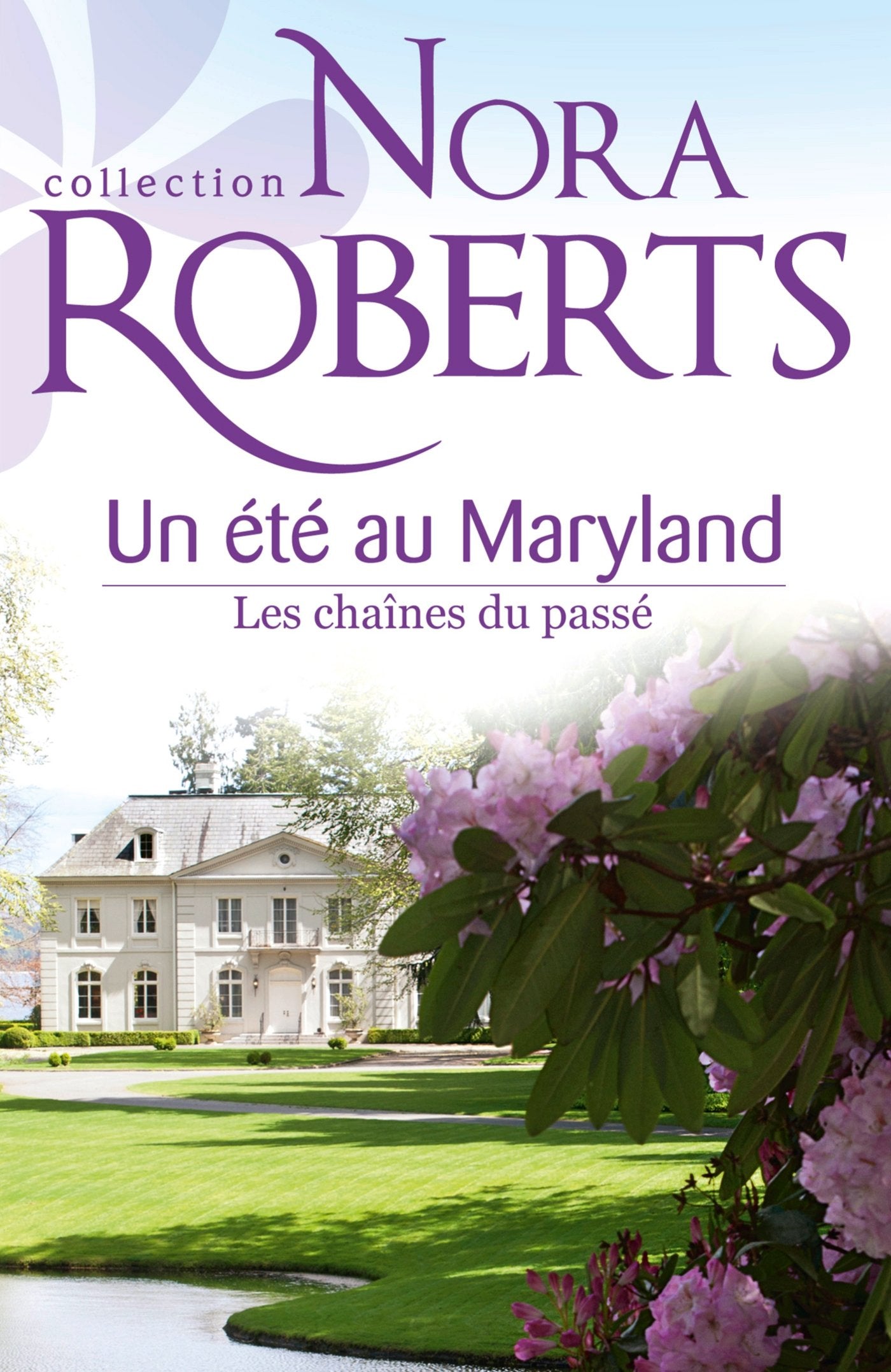 Un été au Maryland : Les chaînes du passé book