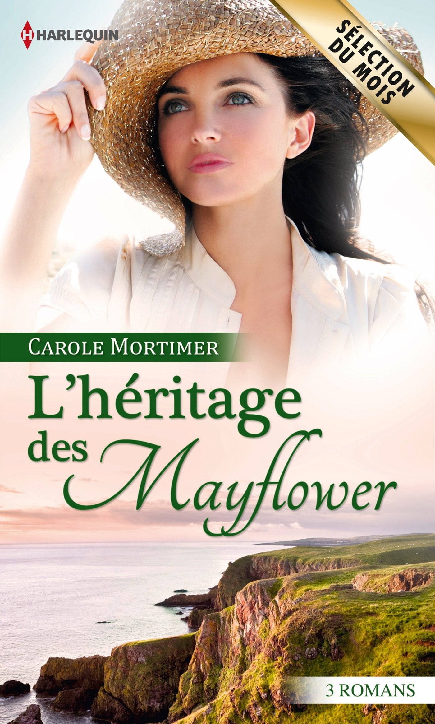 L'héritage des Mayflower: Le feu d'un regard ; Etrange attirance ; Troublant ennemi book
