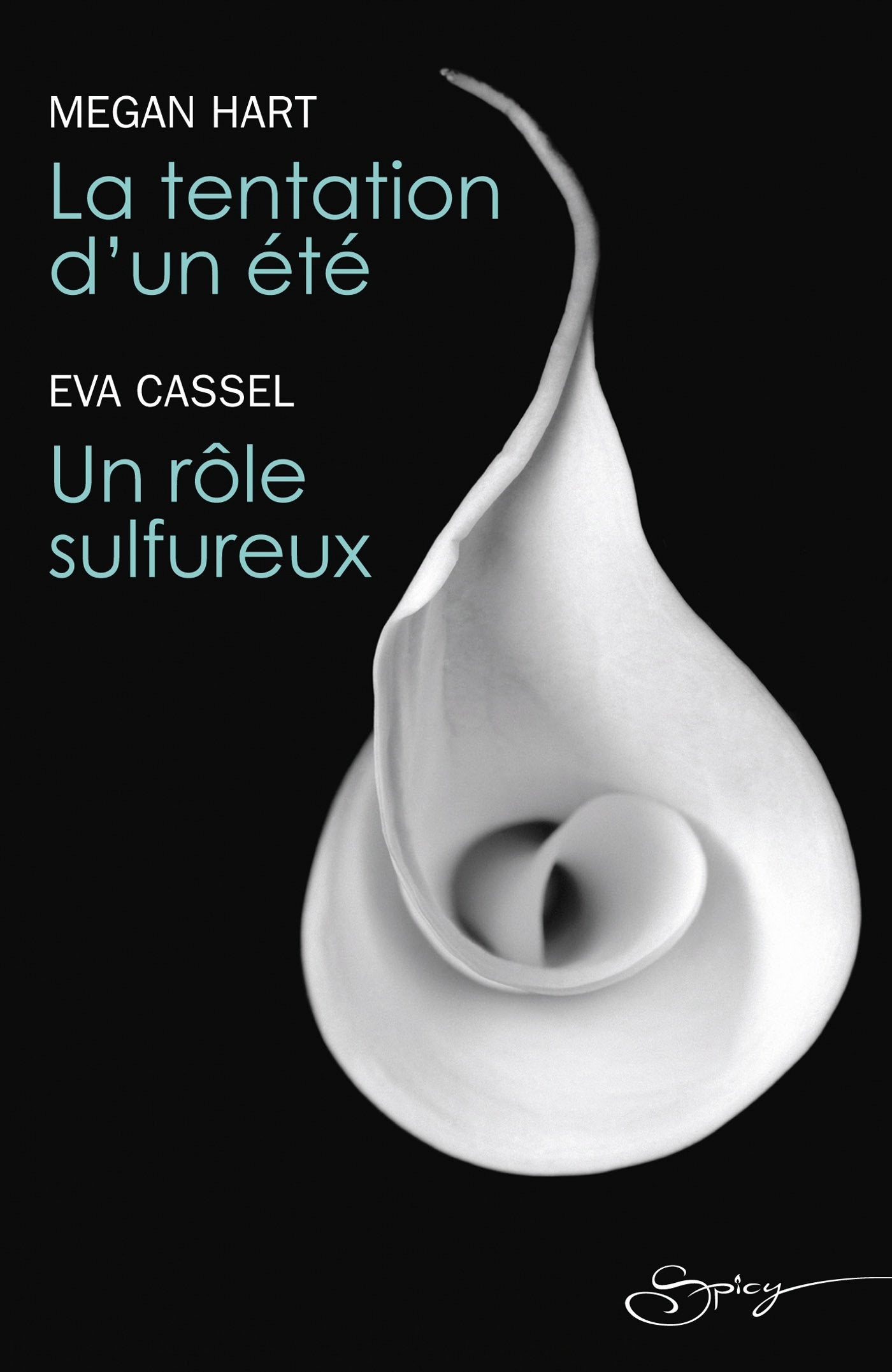 La tentation d'un été - Un rôle sulfureux Eroticism