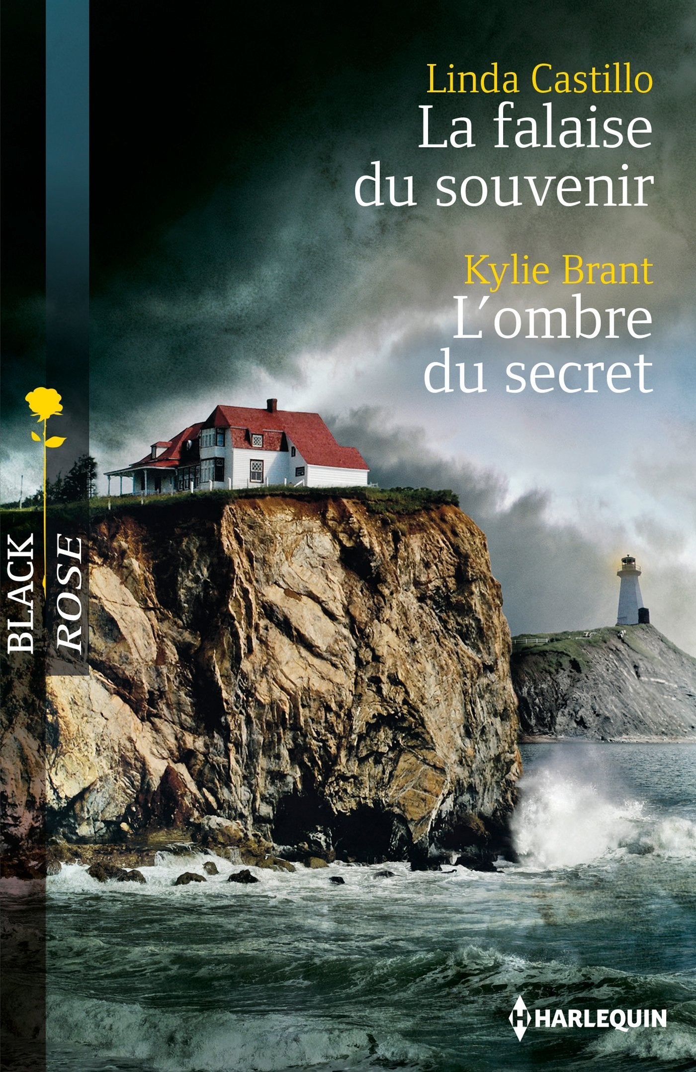 La falaise du souvenir ; L'ombre du secret book