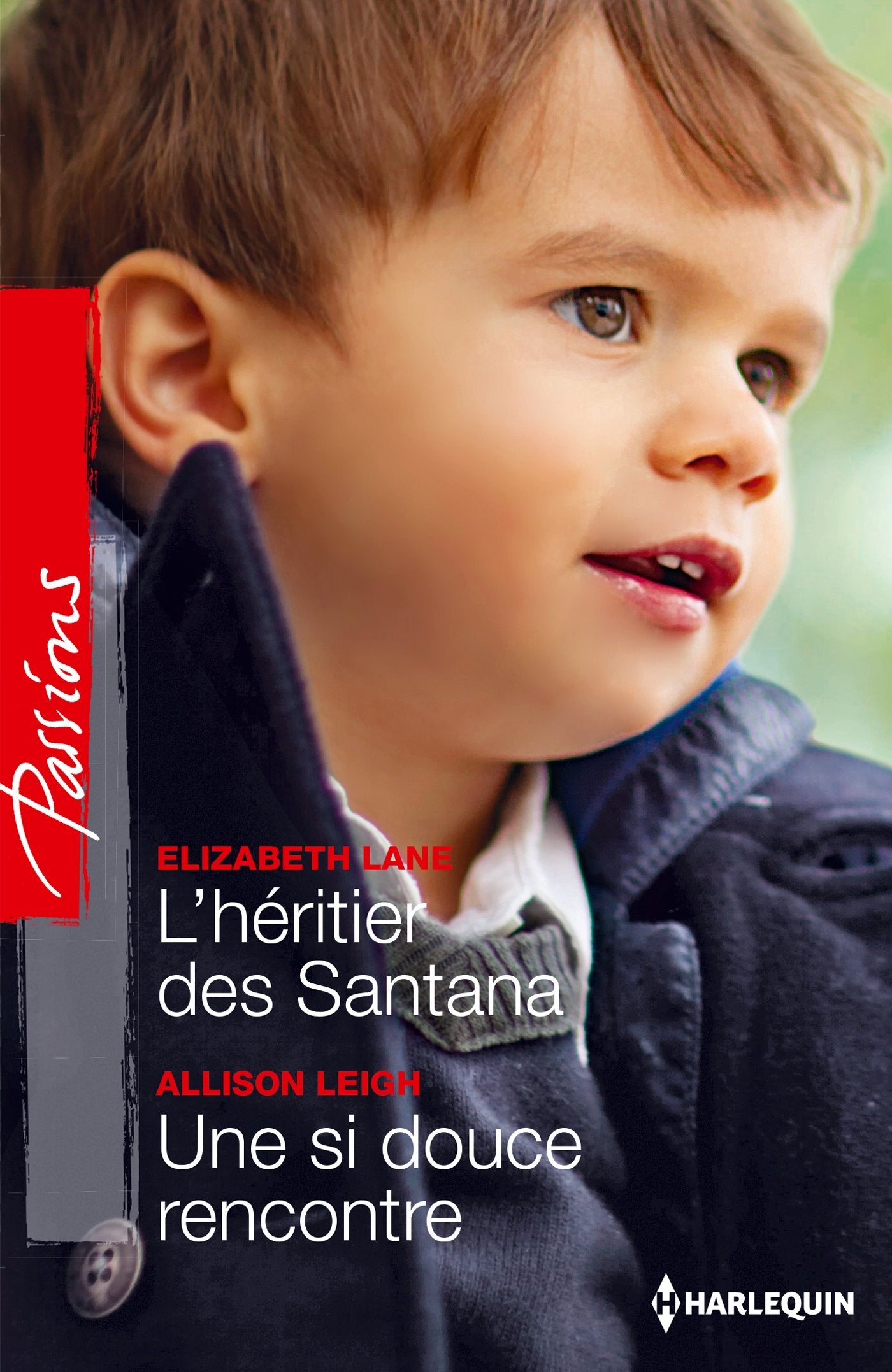 L'héritier des Santana ; Une si douce rencontre book