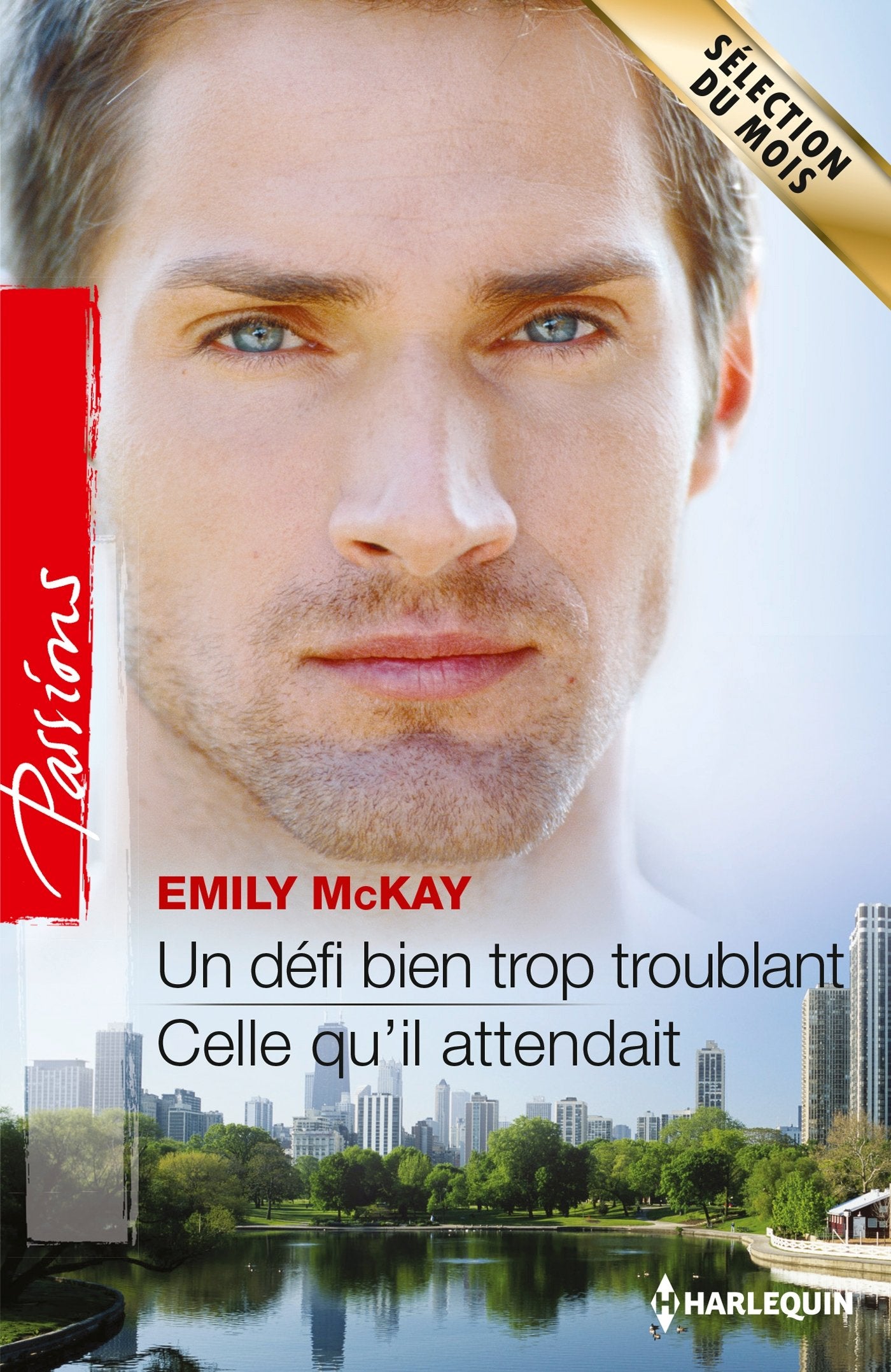 Un défi bien trop troublant ; Celle qu'il attendait book