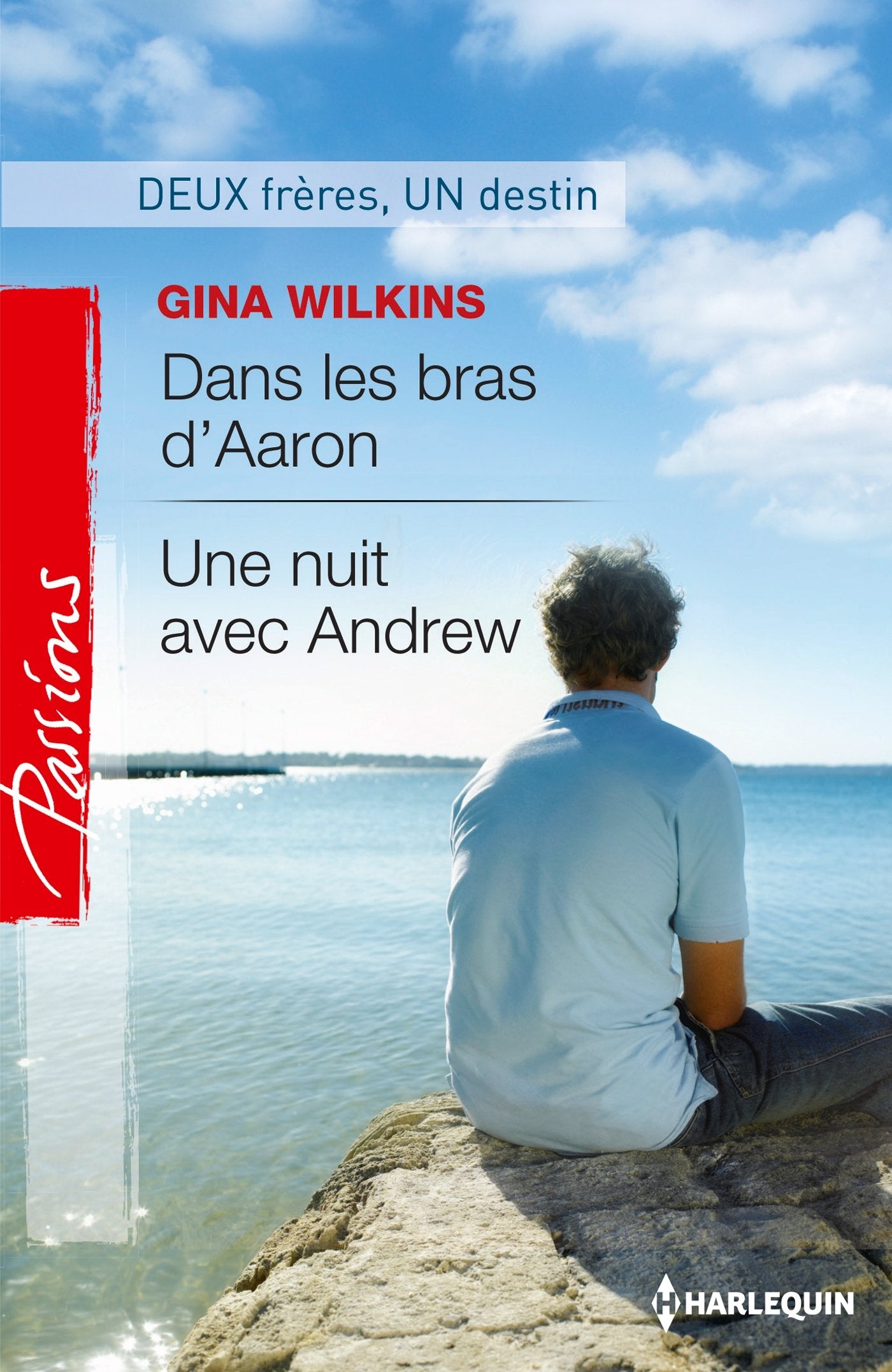 Dans les bras d'Aaron ; Une nuit avec Andrew book