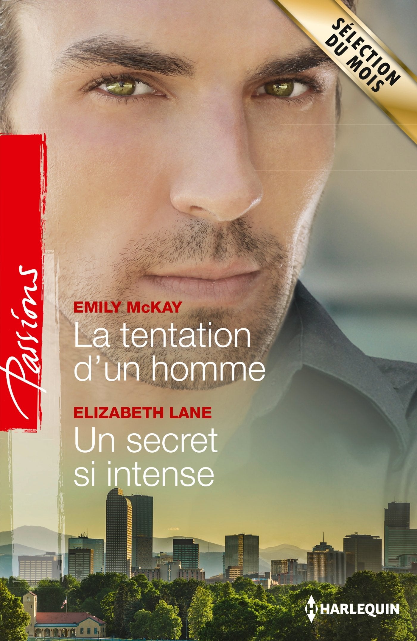 La tentation d'un homme ; Un secret si intense book