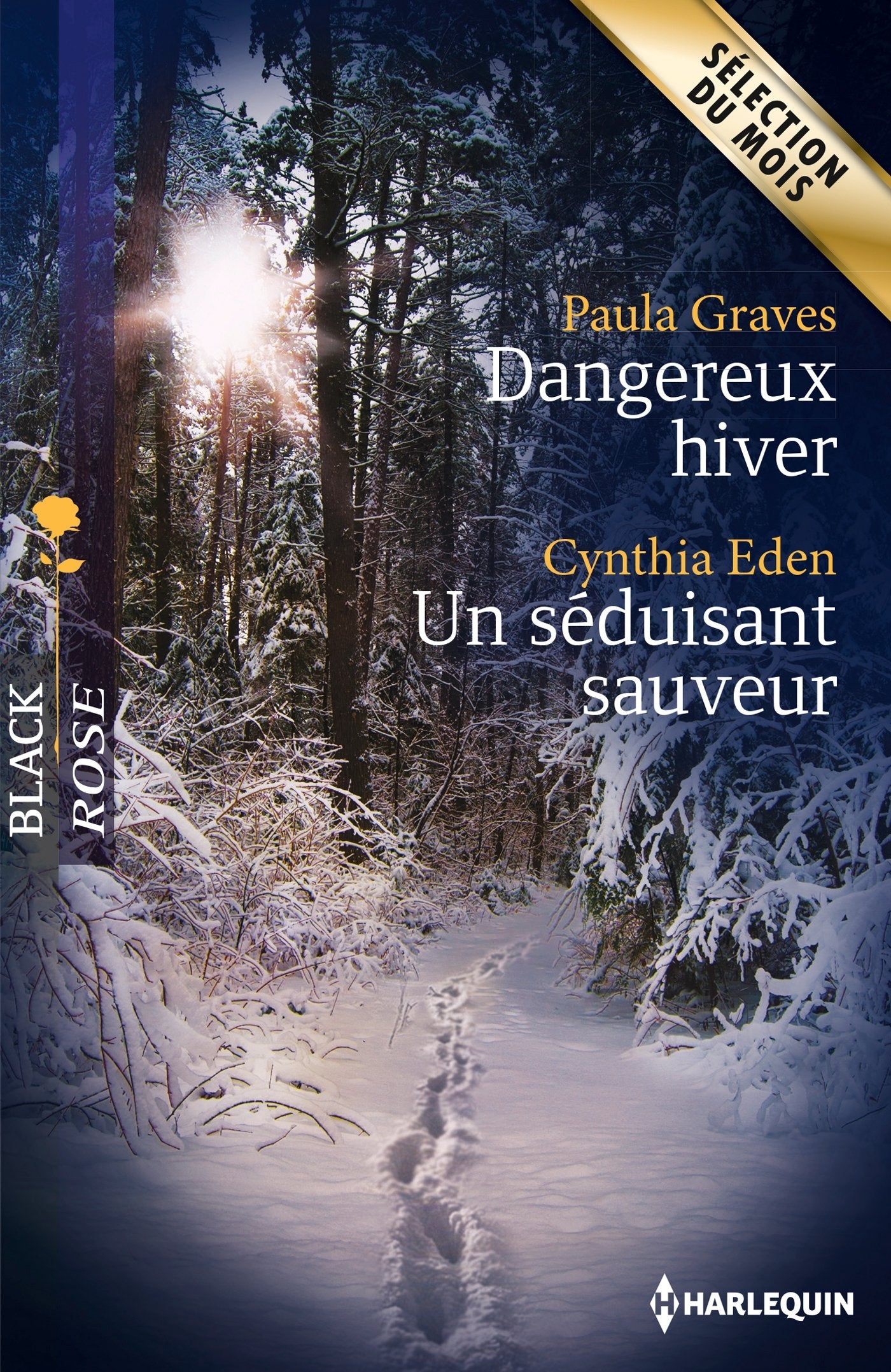 Dangereux hiver ; Un séduisant sauveur book