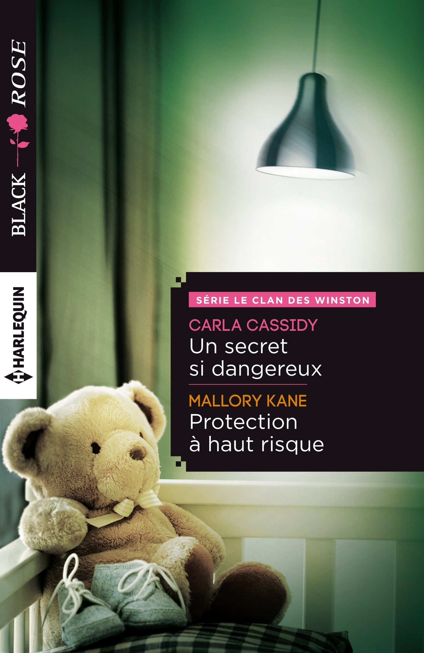 Un secret si dangereux ; Protection à haut risque Eroticism
