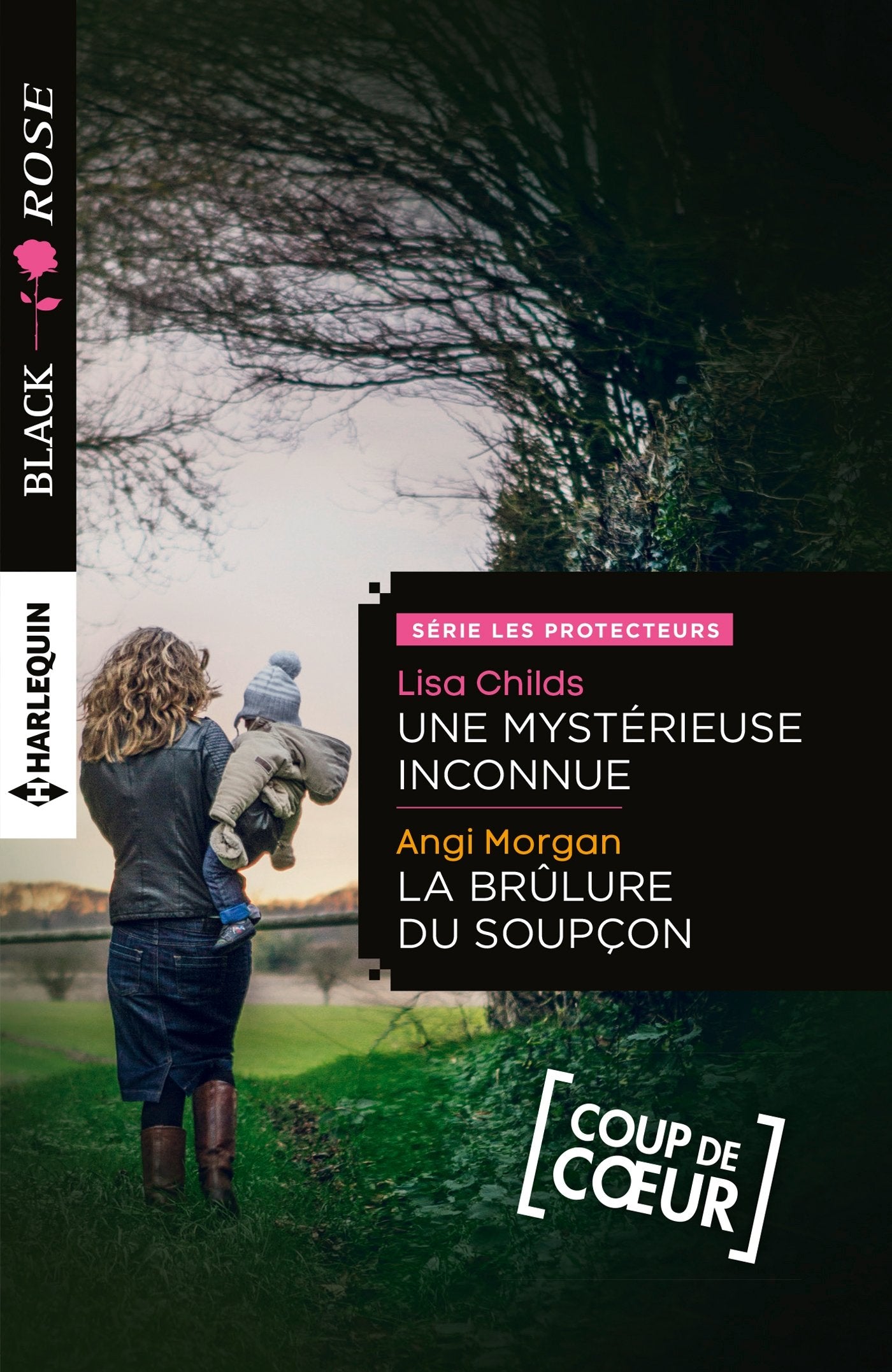 Une mystérieuse inconnue ; La brûlure du soupçon book