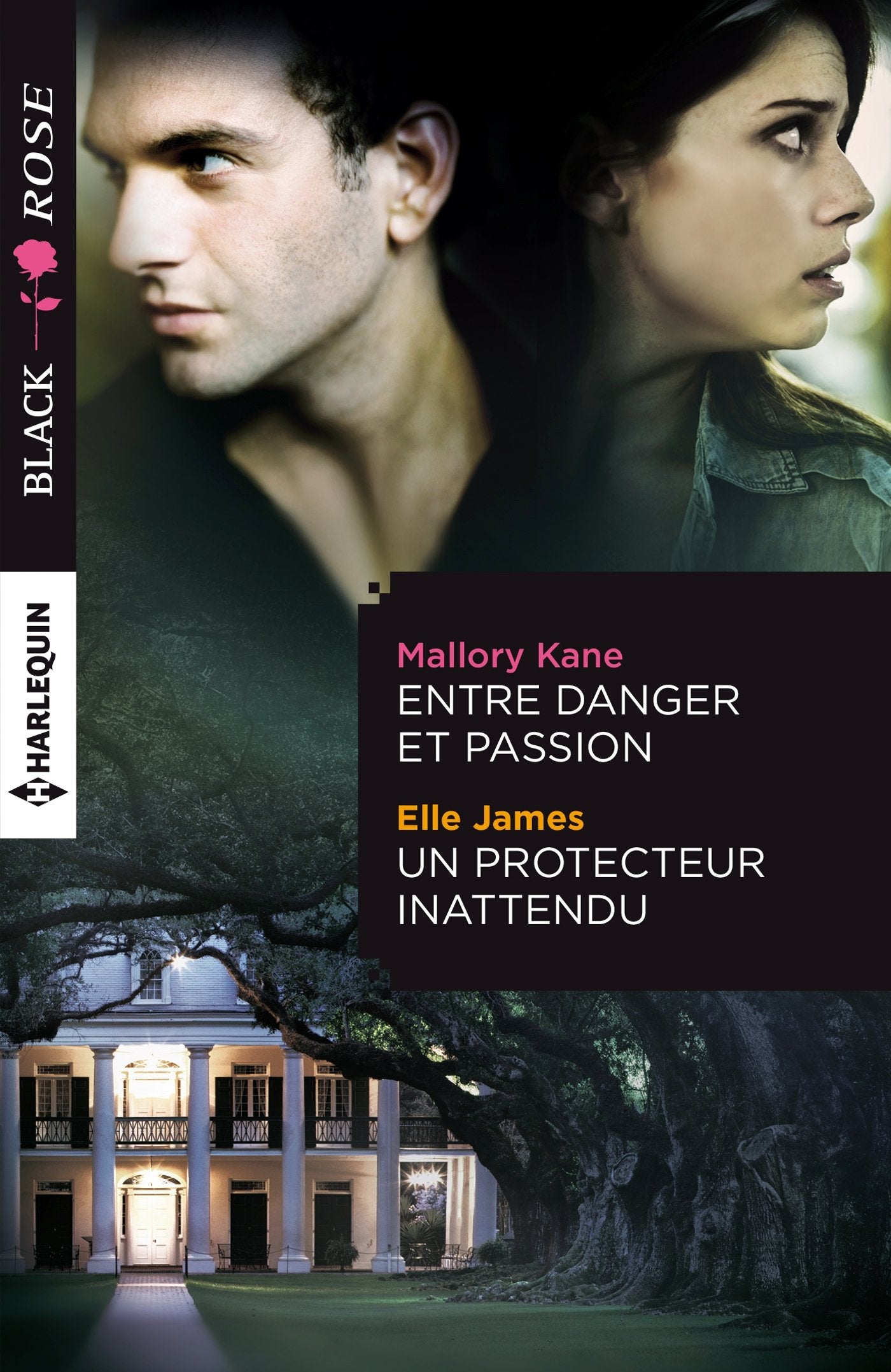 Entre danger et passion ; Un protecteur inattendu book