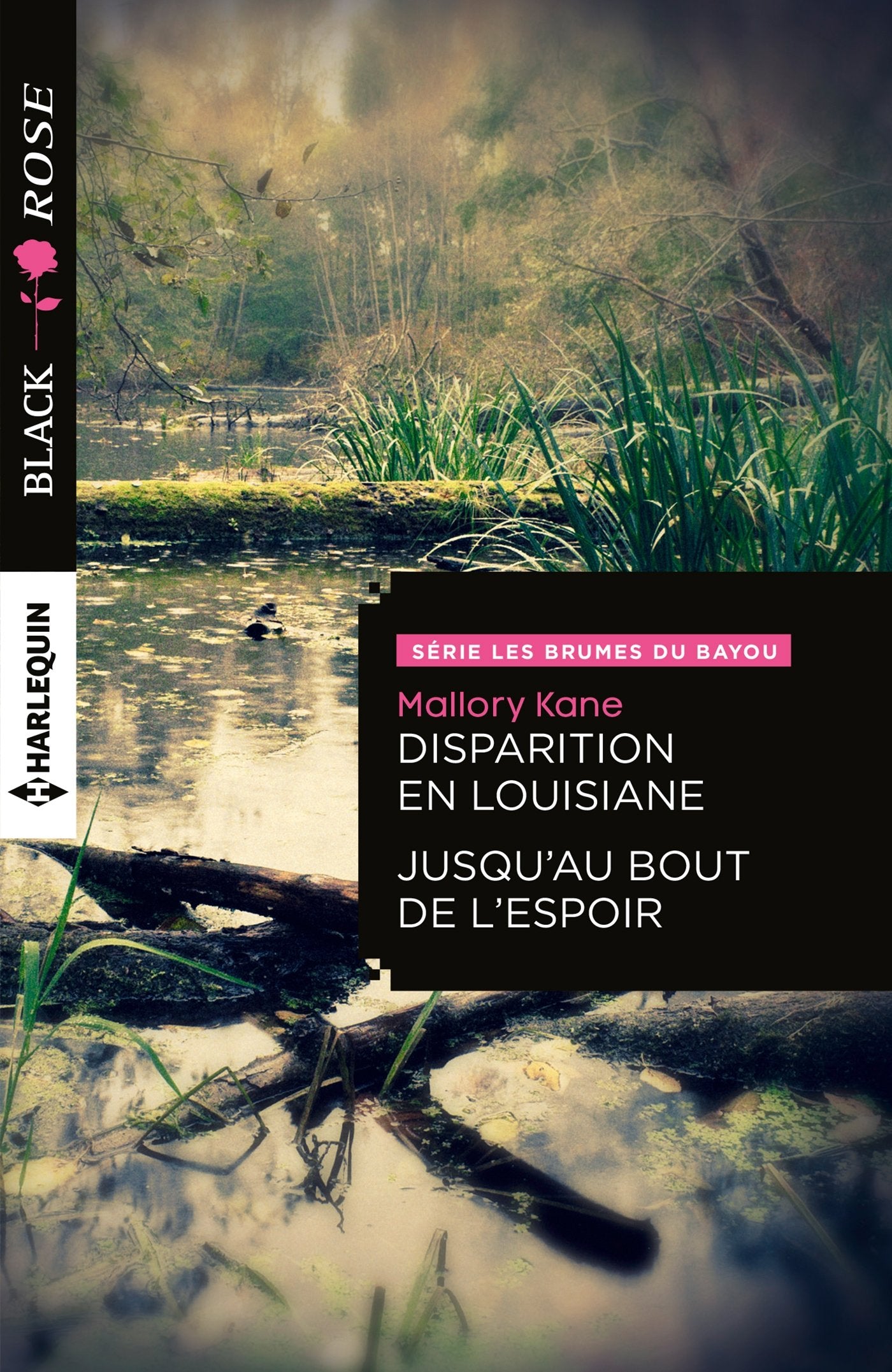Disparition en Louisiane ; Jusqu'au bout de l'espoir book