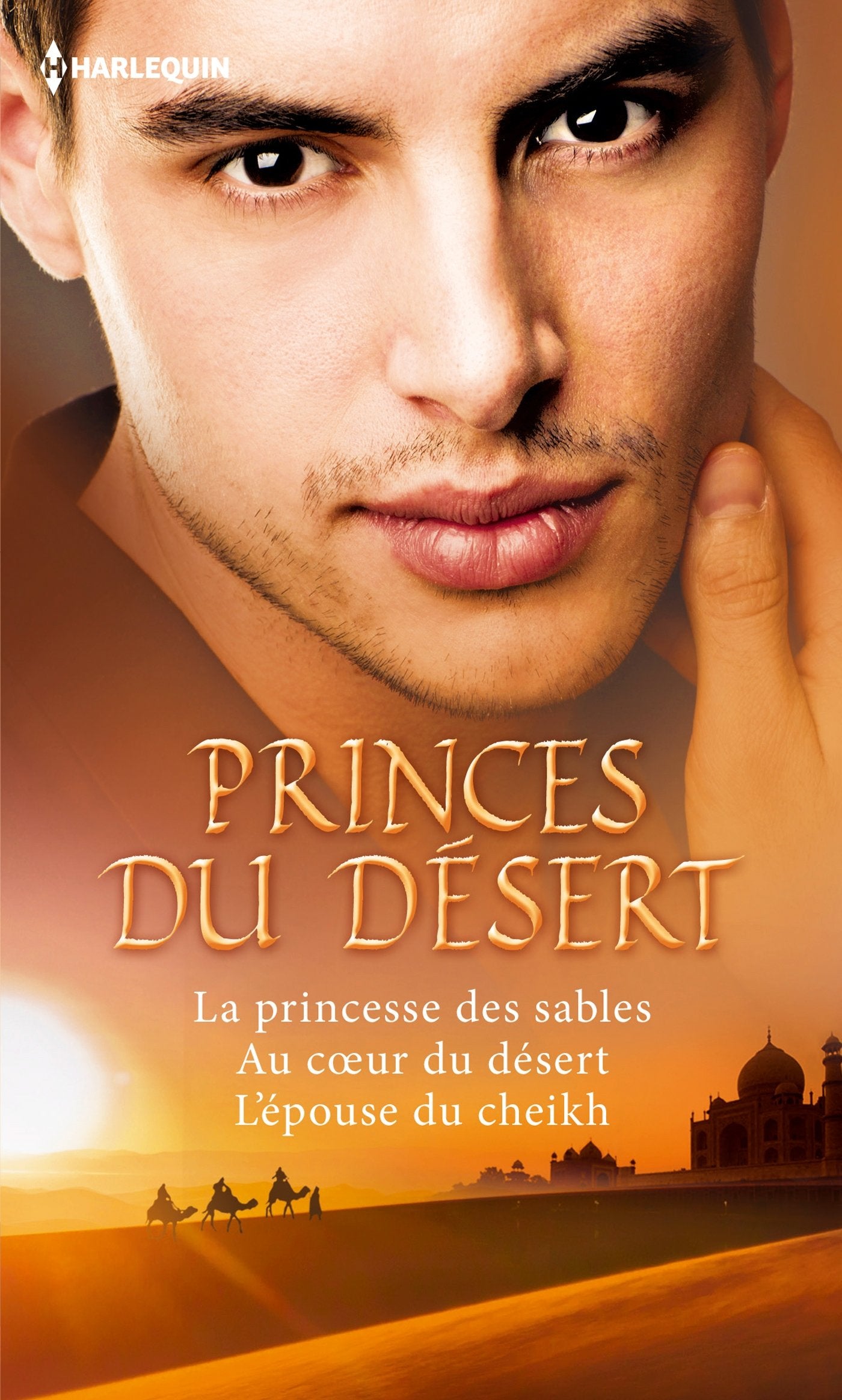 Princes du désert: La princesse des sables ; Au coeur du désert ; L'épouse du cheikh book
