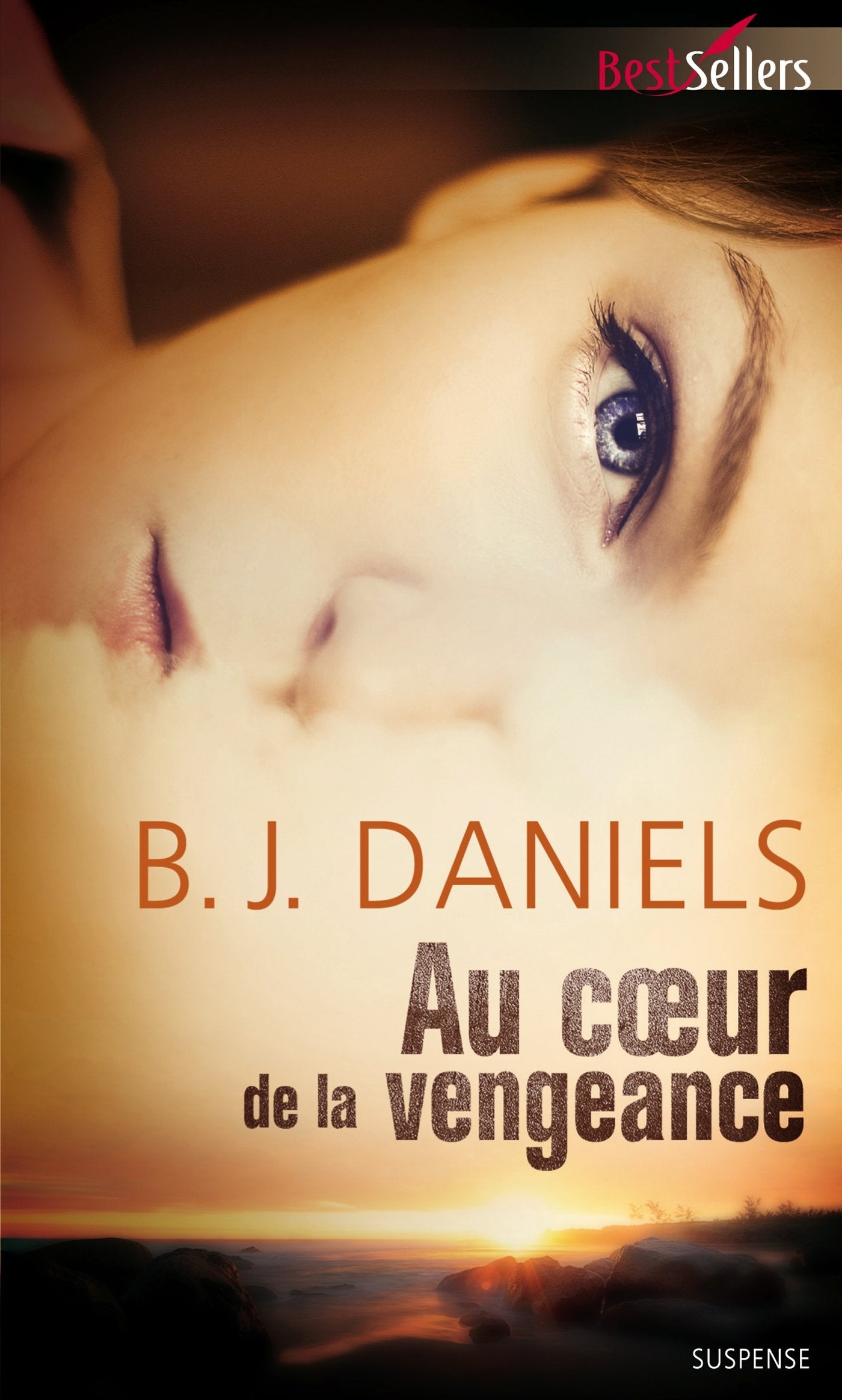 Au coeur de la vengeance book