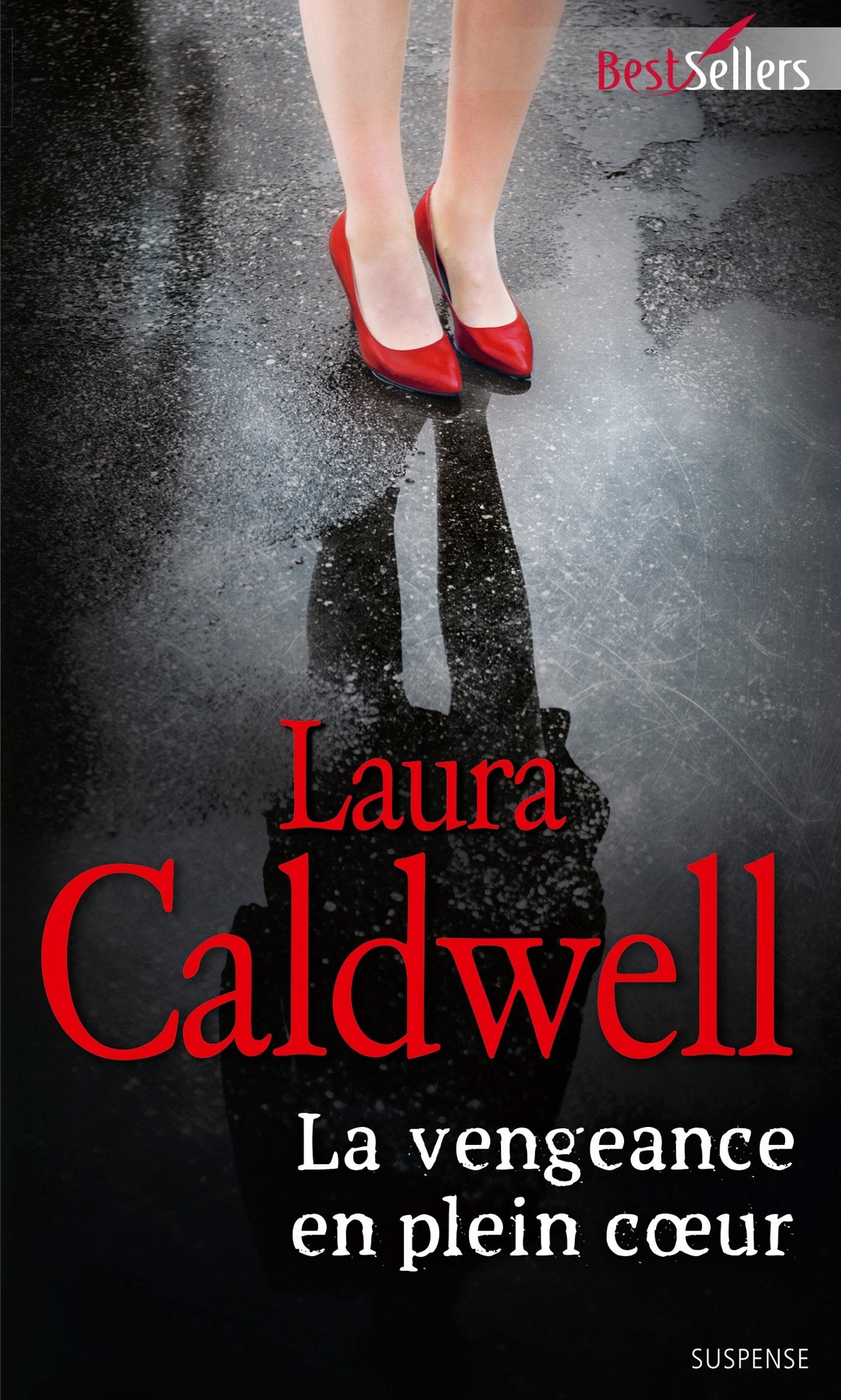 La vengeance en plein coeur book