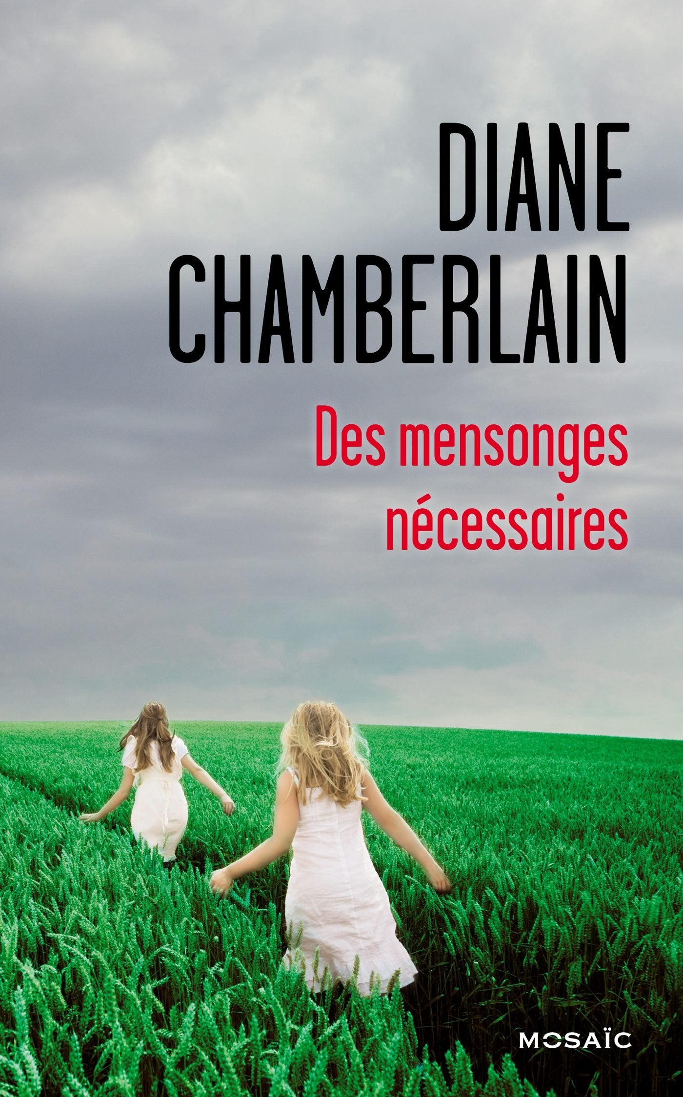 Des mensonges nécessaires book