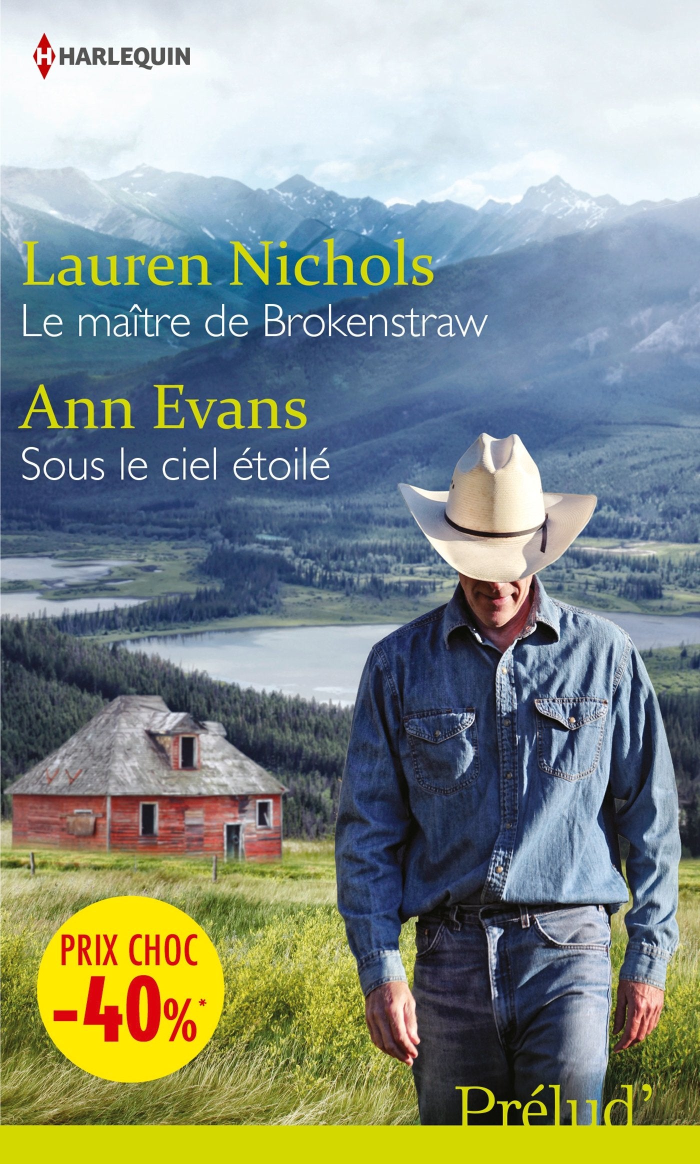 Le maître de Brokenstraw ; Sous le ciel étoilé book