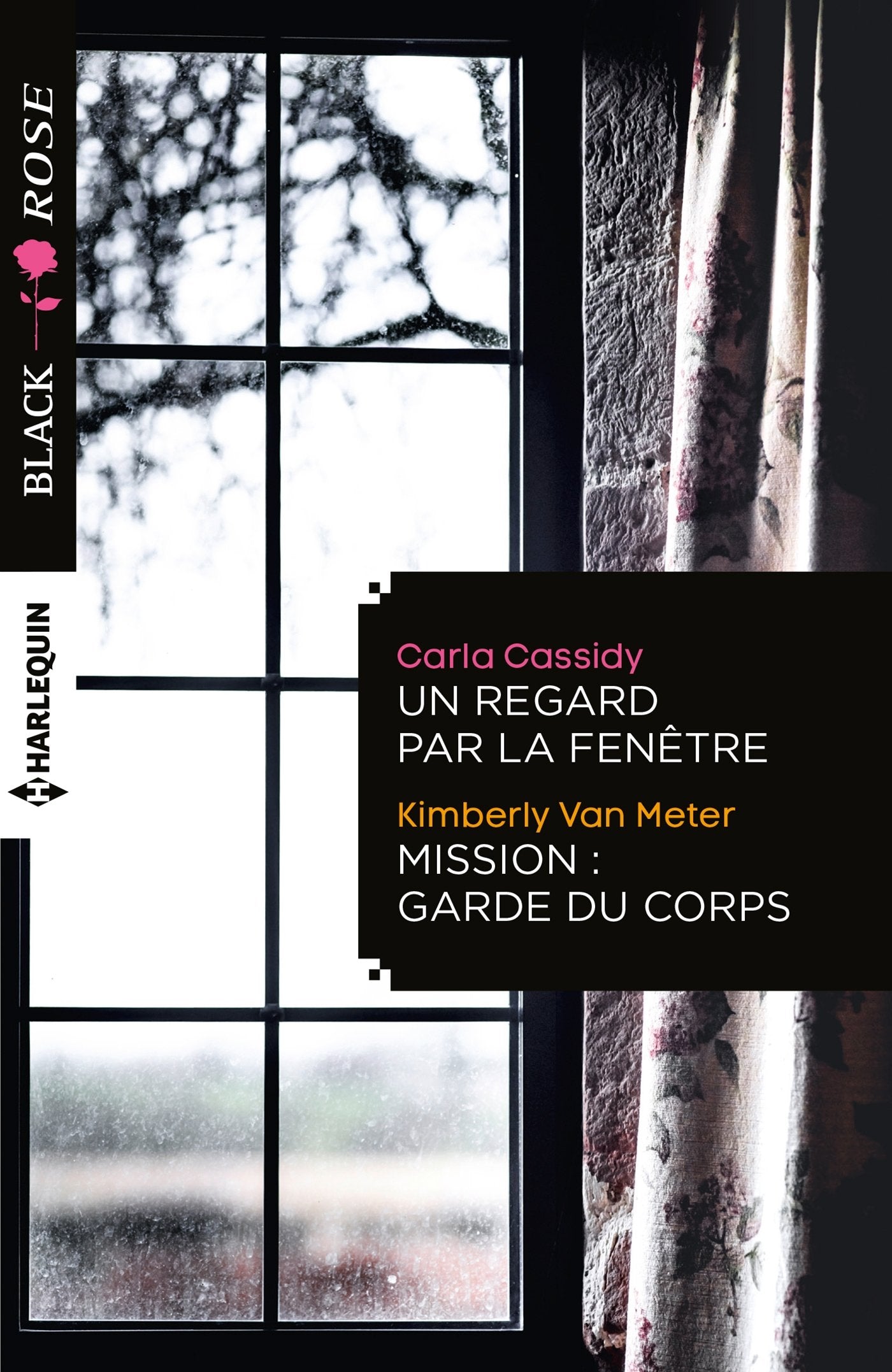 Un regard par la fenêtre ; Mission: garde du corps Eroticism