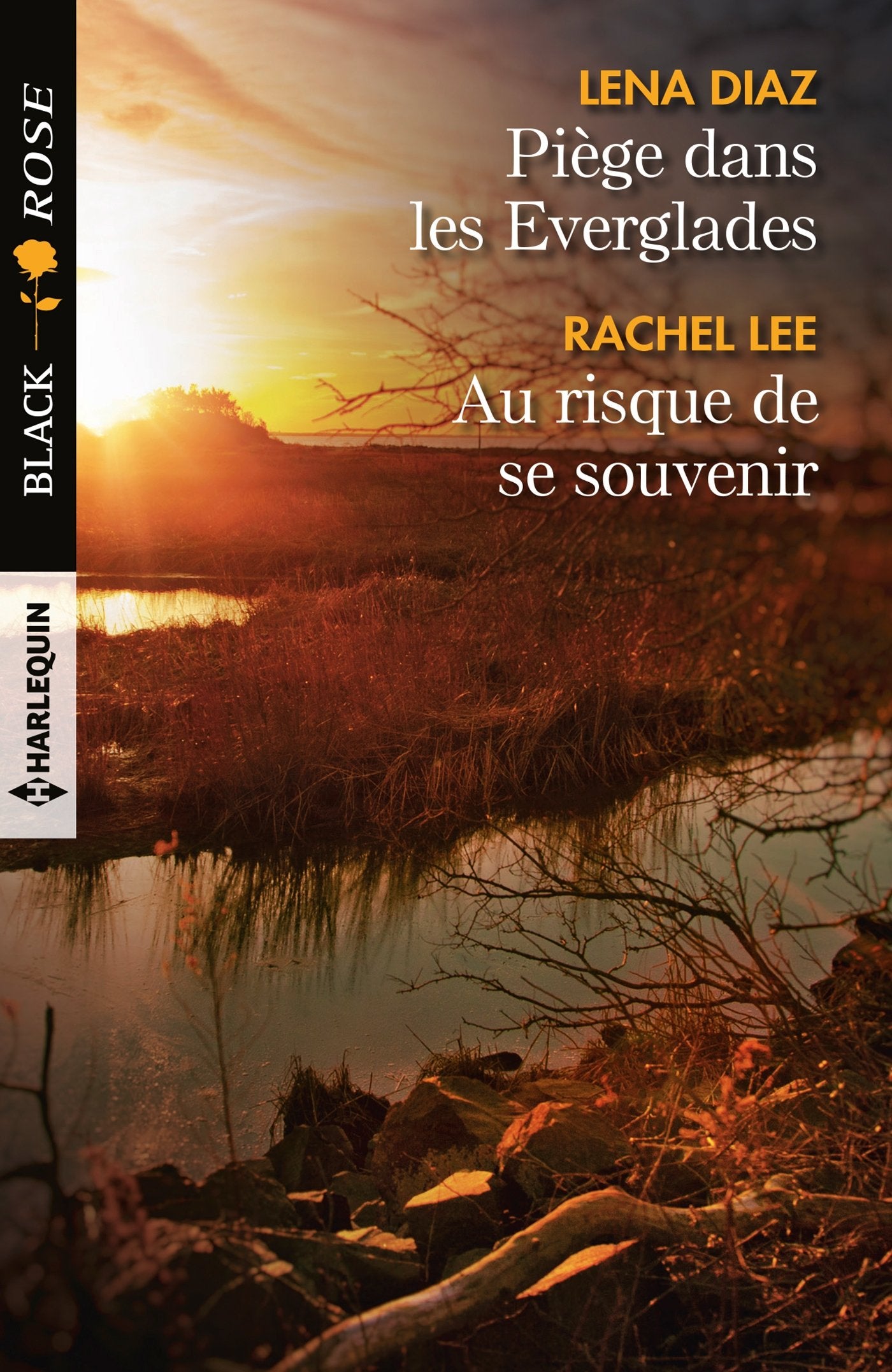 Piège dans les Everglades - Au risque de se souvenir Contemporary literature