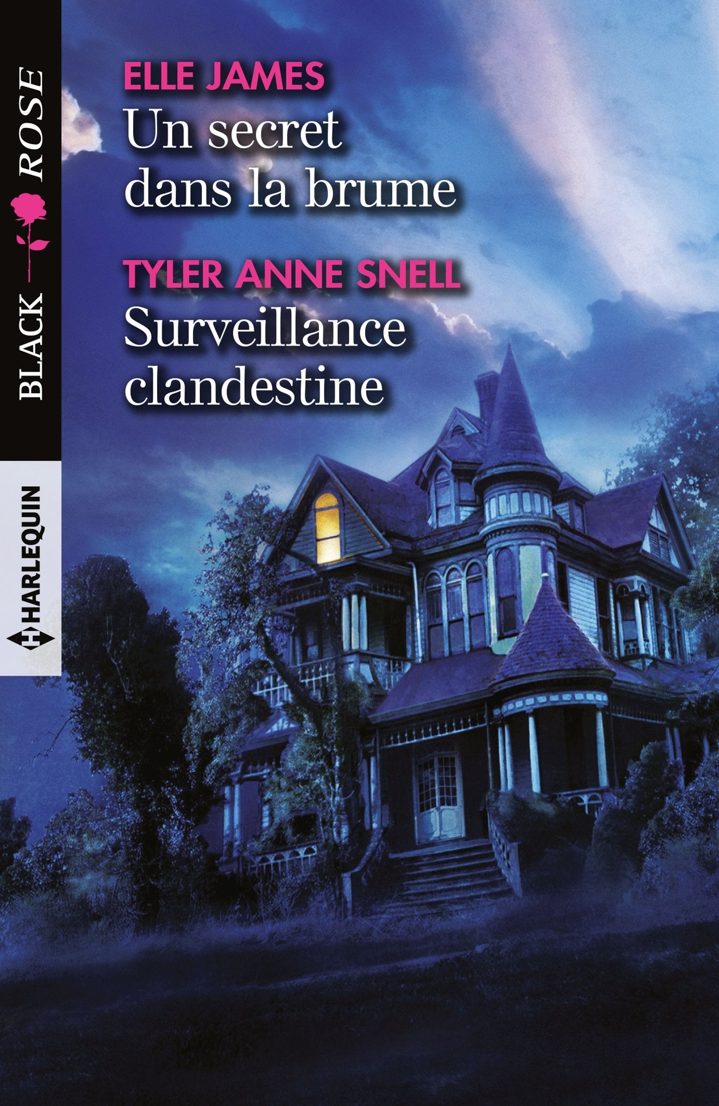 Un secret dans la brume - Surveillance clandestine Contemporary literature