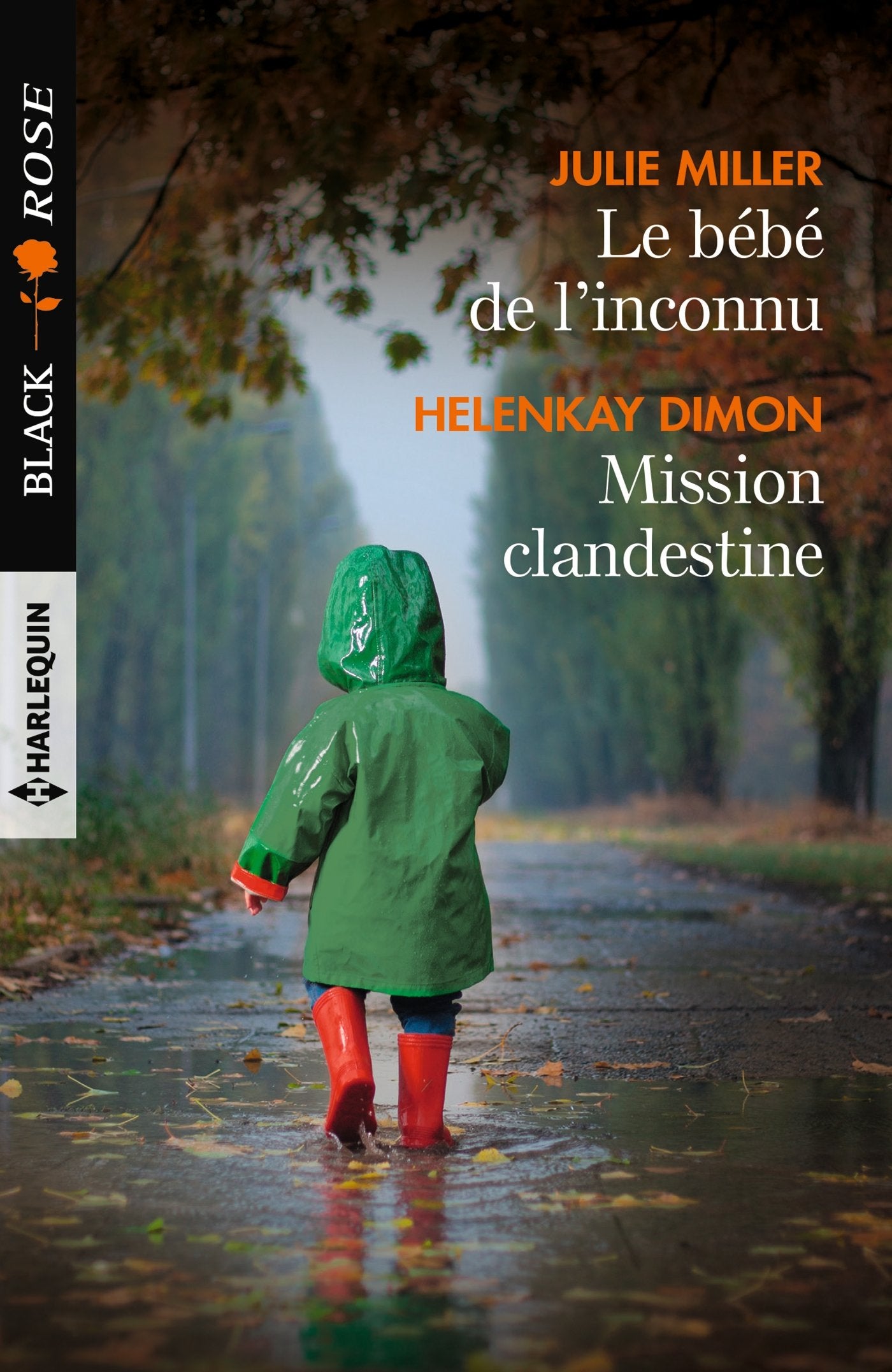 Le bébé de l'inconnu - Mission clandestine Eroticism