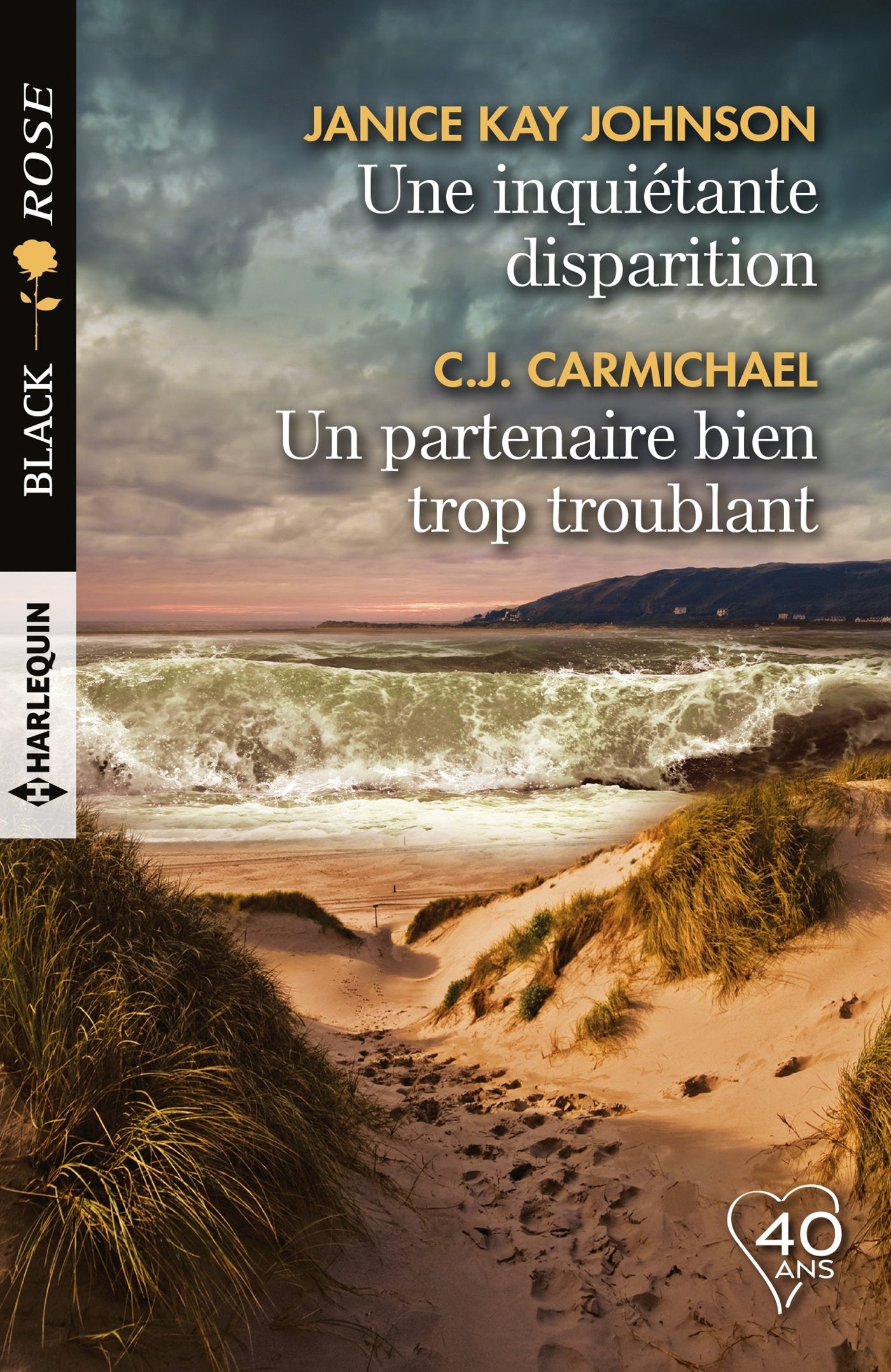 Une inquiétante disparition - Un partenaire bien trop troublant book