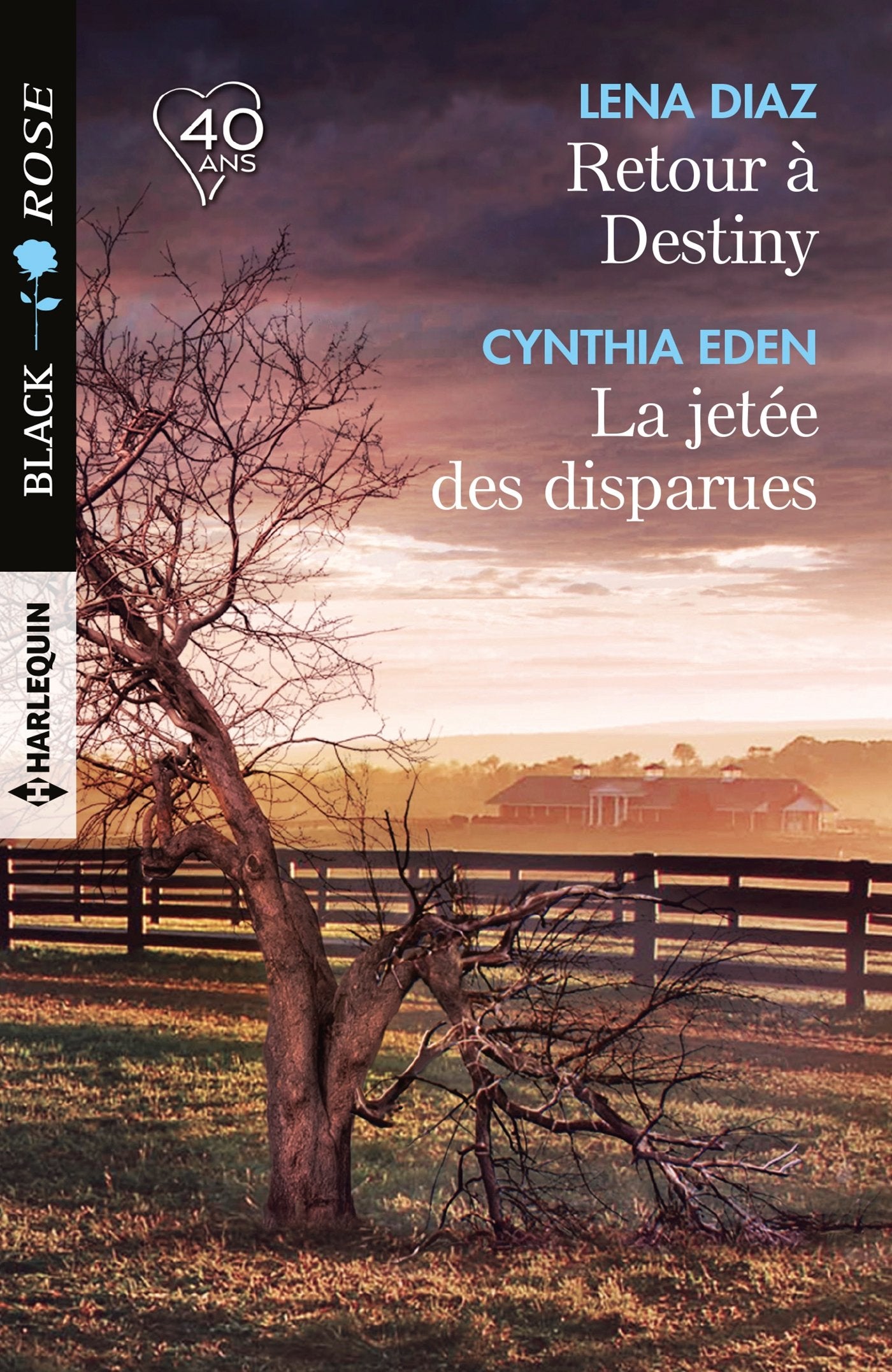 Retour à Destiny - La jetée des disparues book
