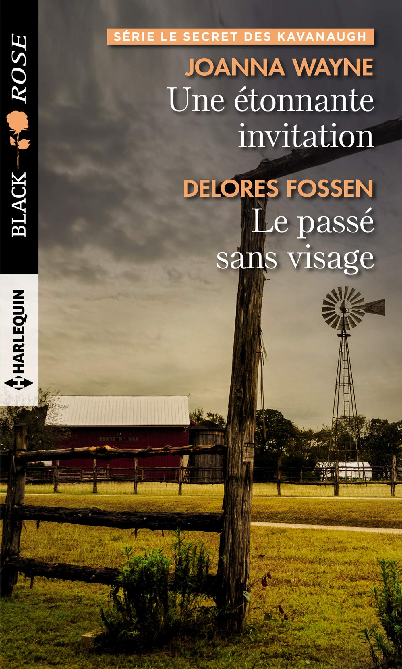 Une étonnante invitation - Le passé sans visage book