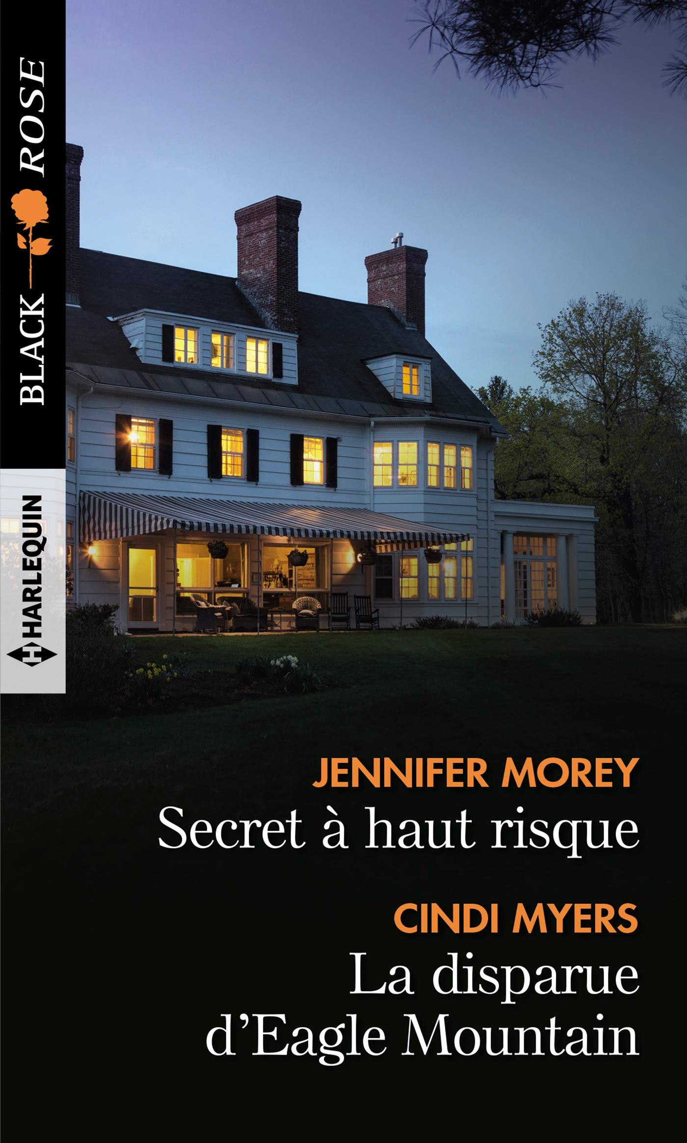 Secret à haut risque - La disparue d'Eagle Mountain book