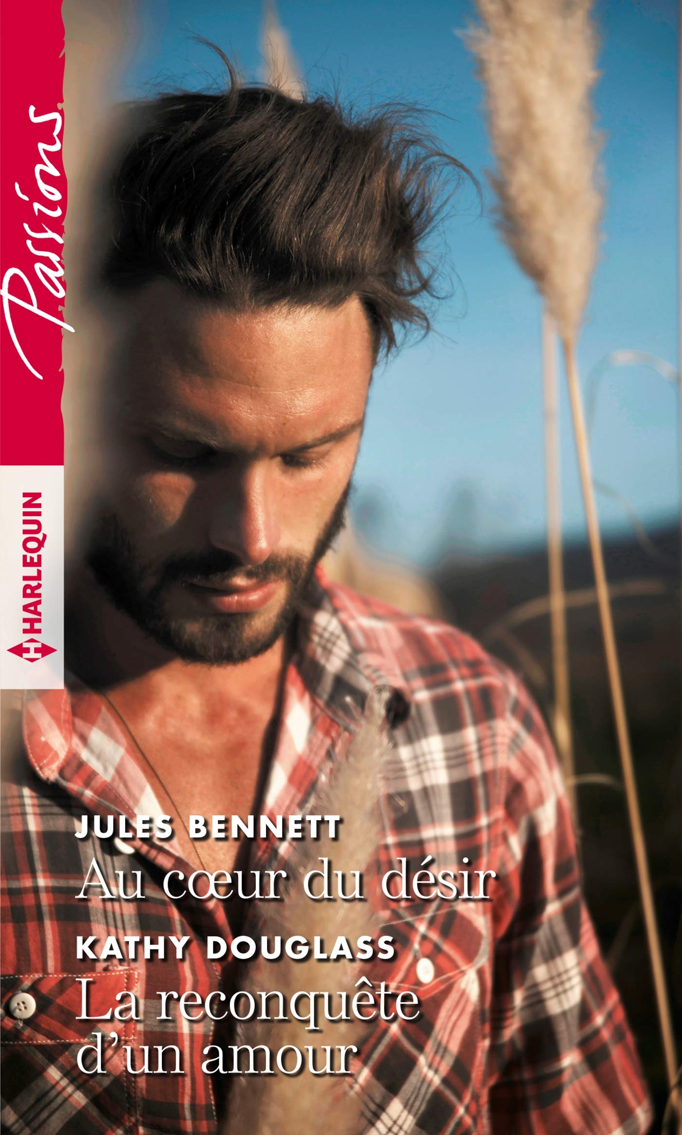 Au coeur du désir - La reconquête d'un amour Contemporary literature