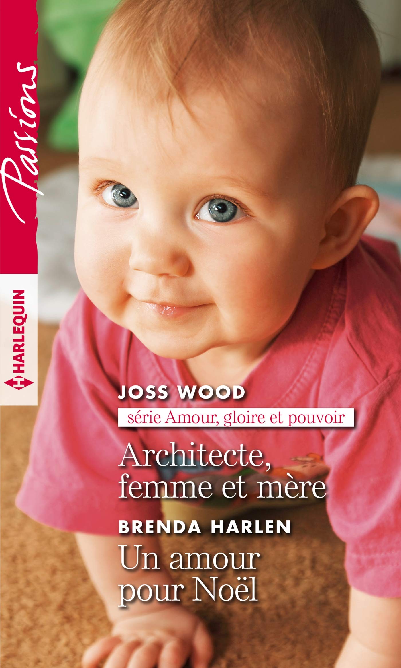 Architecte, femme et mère - Un amour pour Noël book