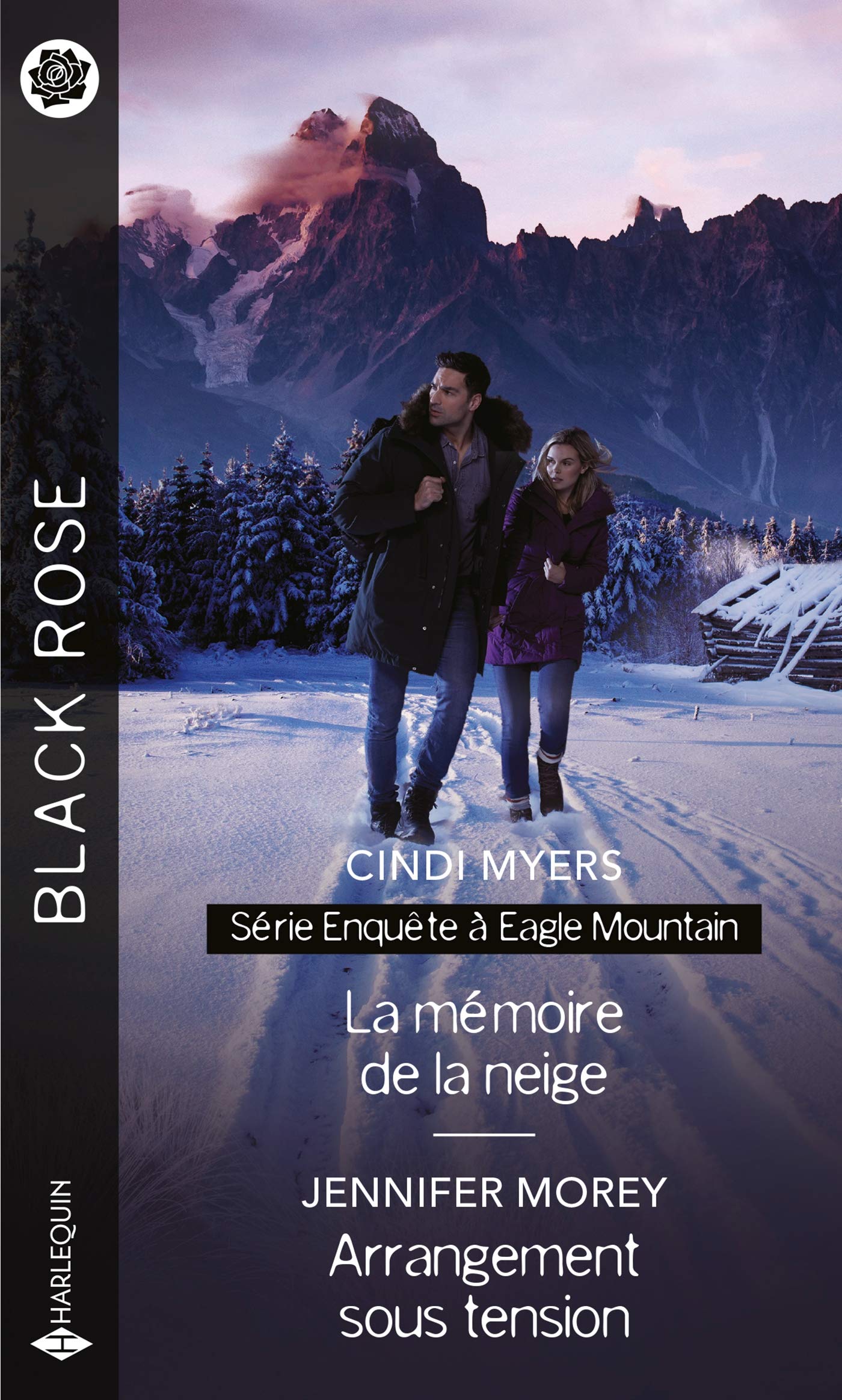 La mémoire de la neige - Arrangement sous tension Contemporary literature