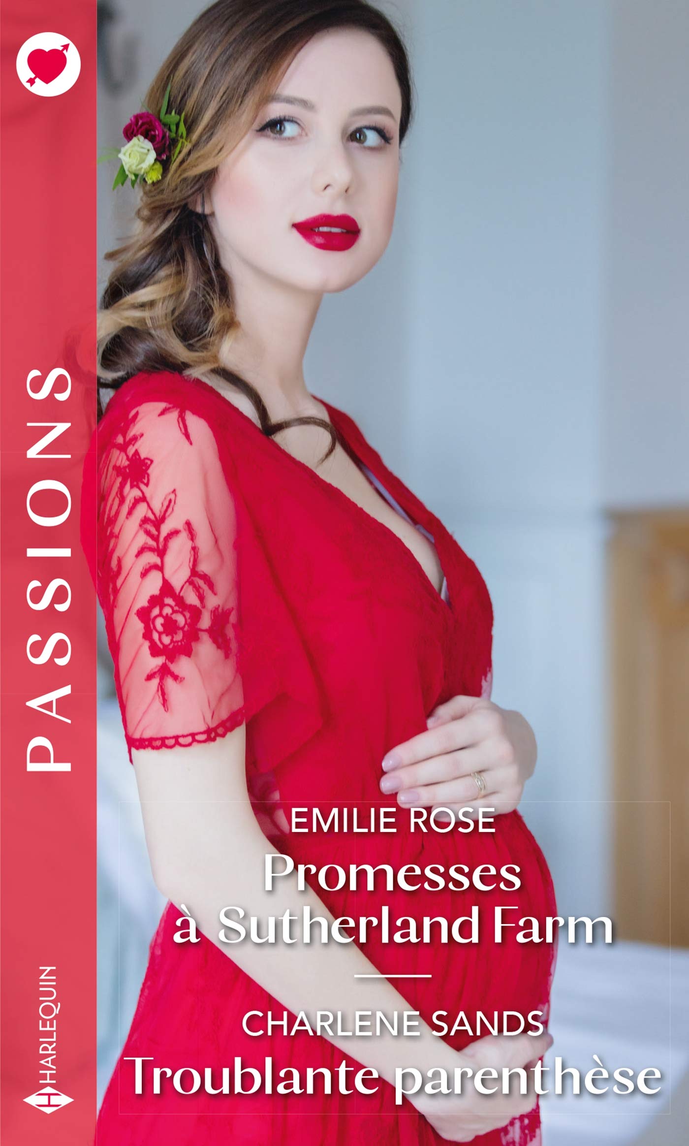 Promesses à Sutherland Farm - Troublante parenthèse book